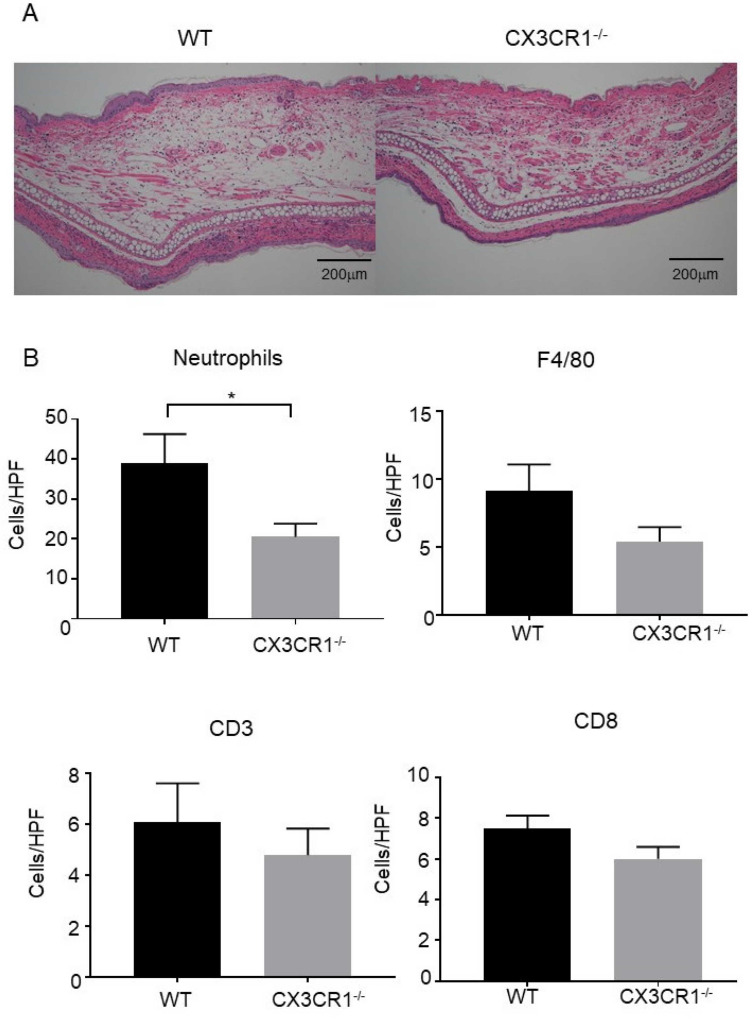 Ijms 21 07401 g002 Ijms 21 07401 g002