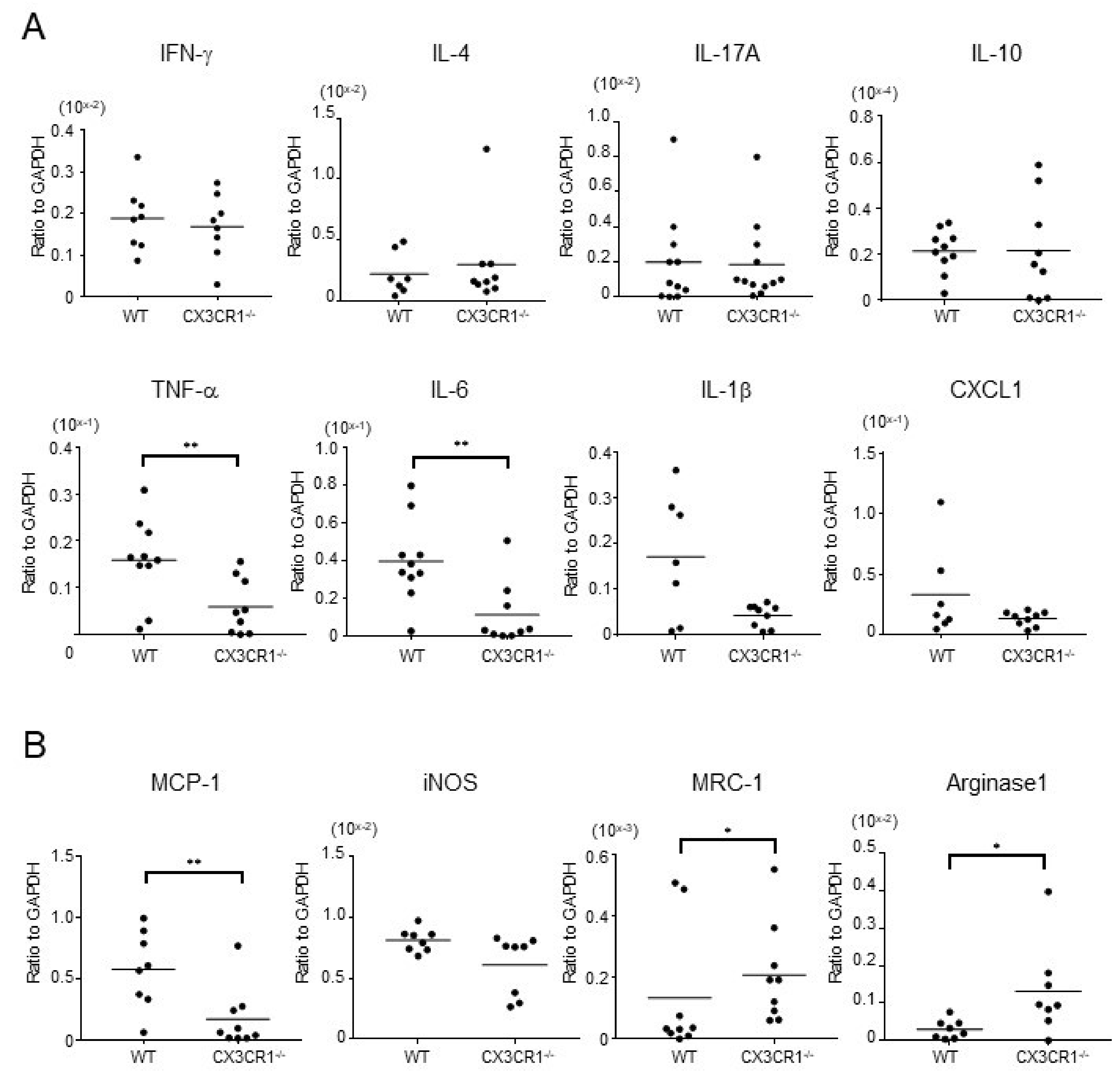 Ijms 21 07401 g003 Ijms 21 07401 g003