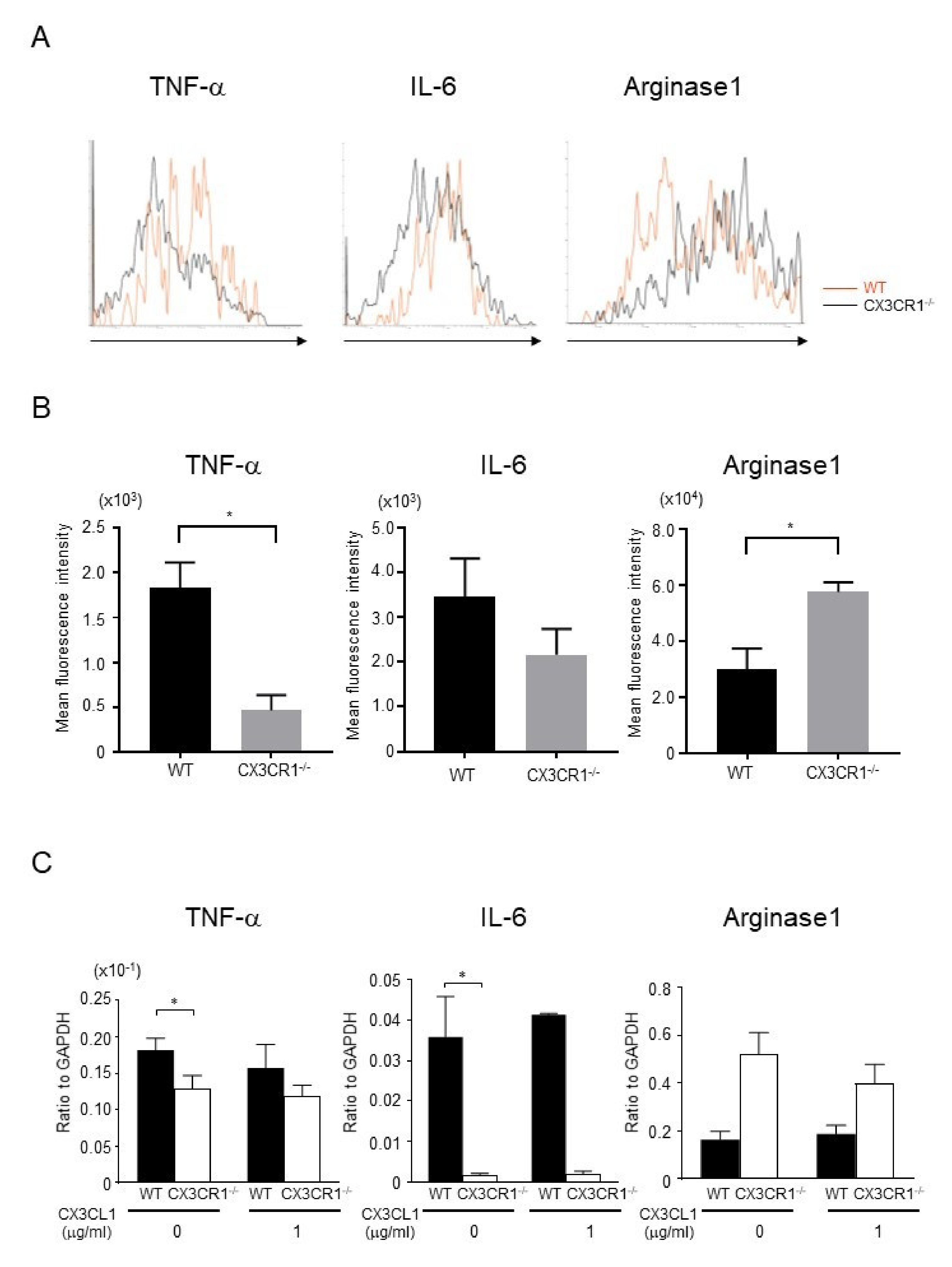 Ijms 21 07401 g004 Ijms 21 07401 g004