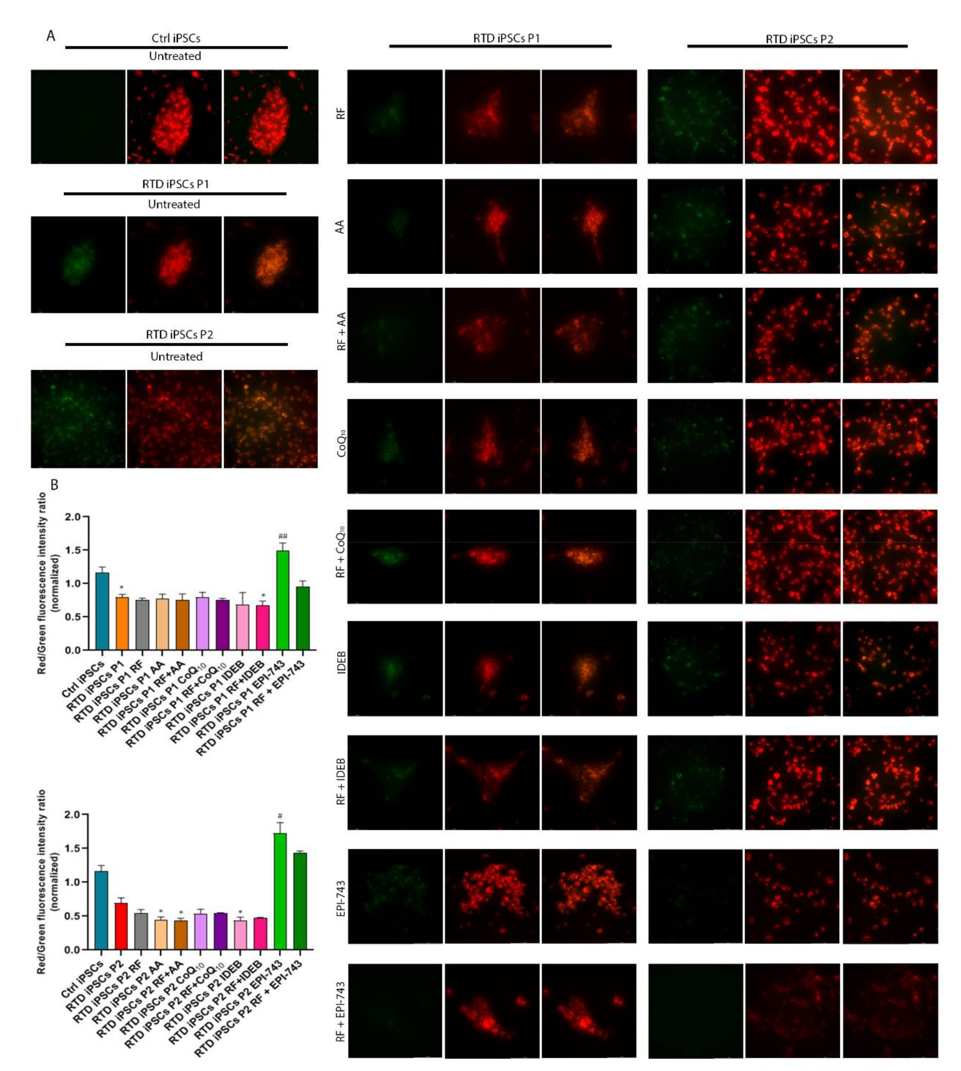 Ijms 21 07402 g002 Ijms 21 07402 g002