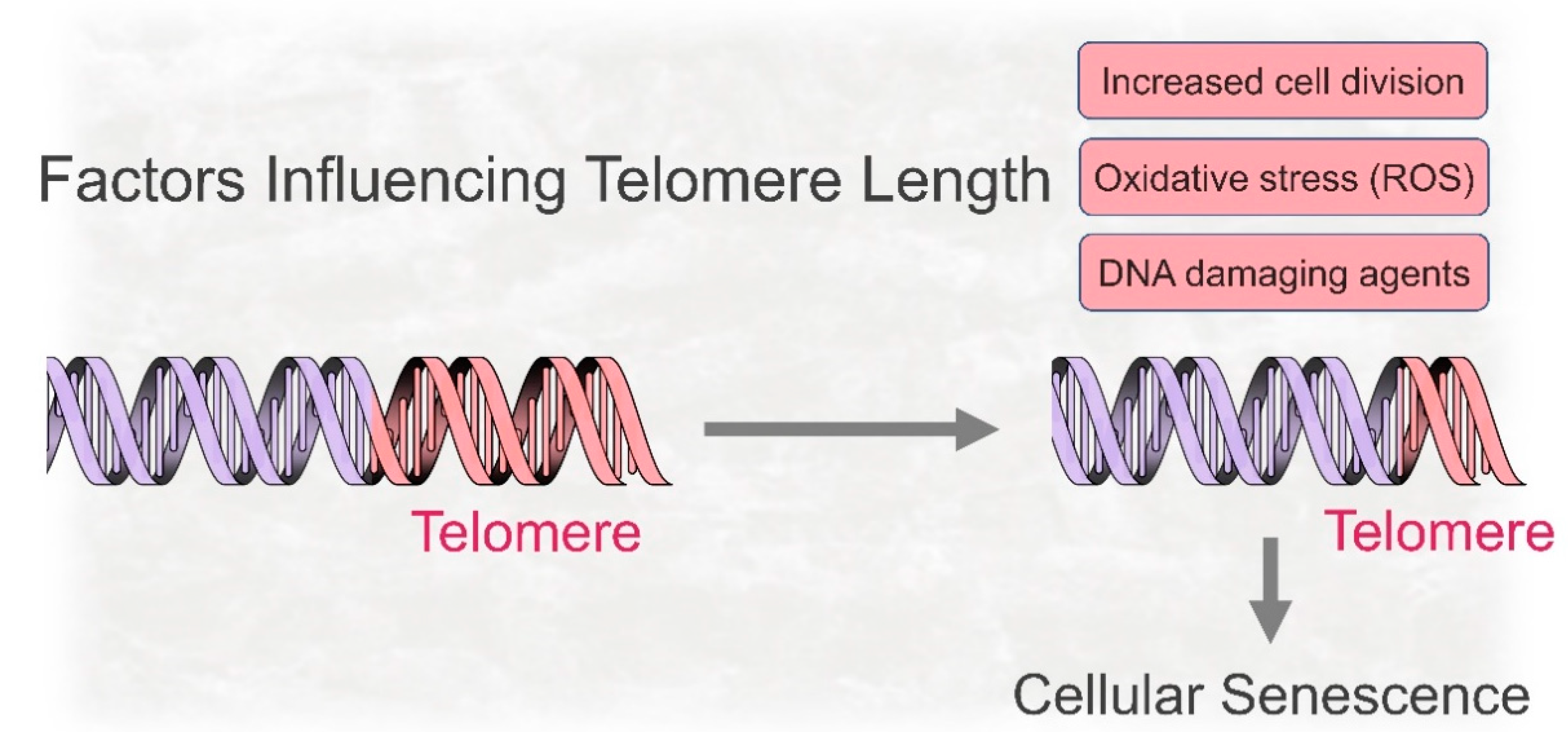 Ijms 21 07441 g001 Ijms 21 07441 g001