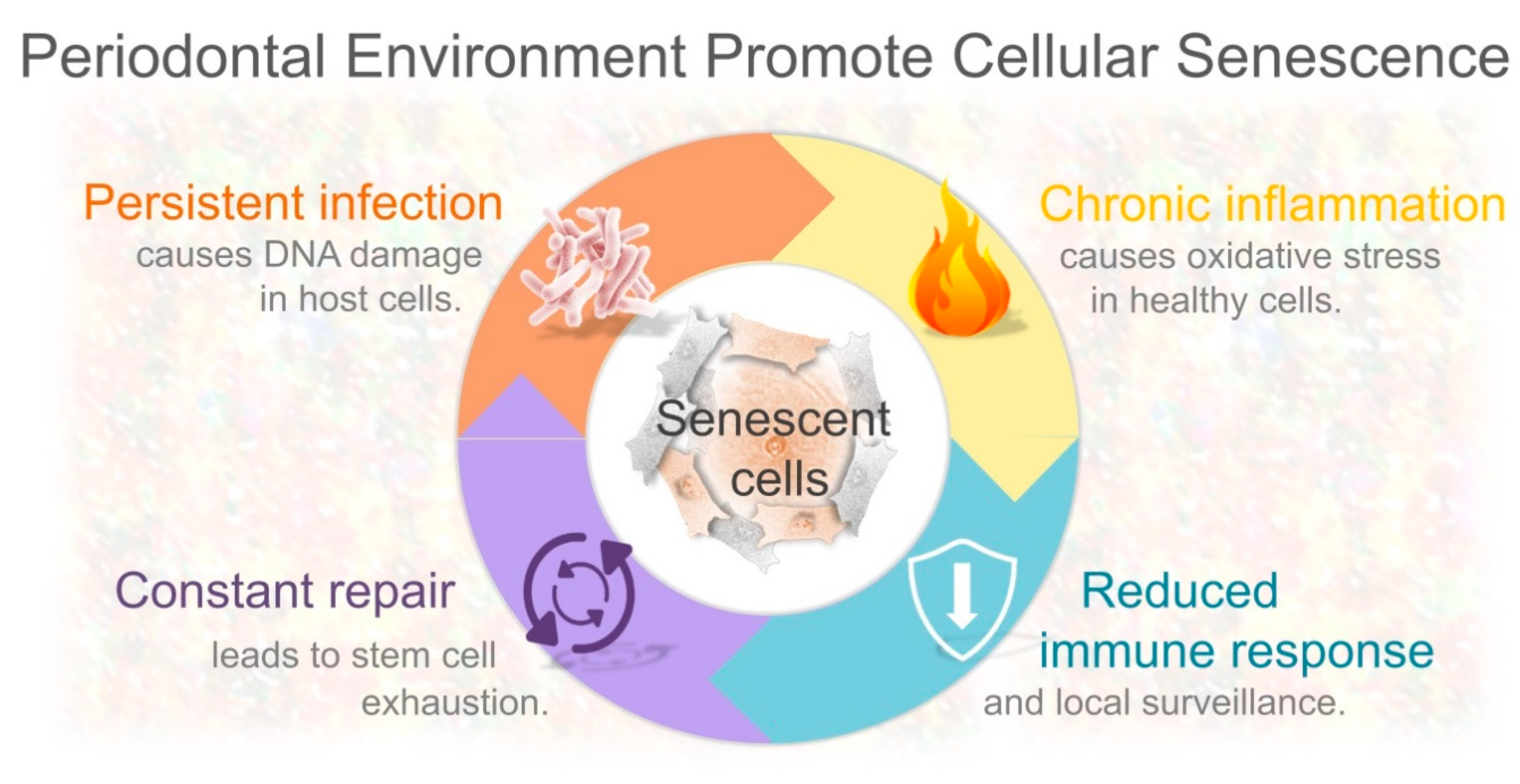 Ijms 21 07441 g002 Ijms 21 07441 g002