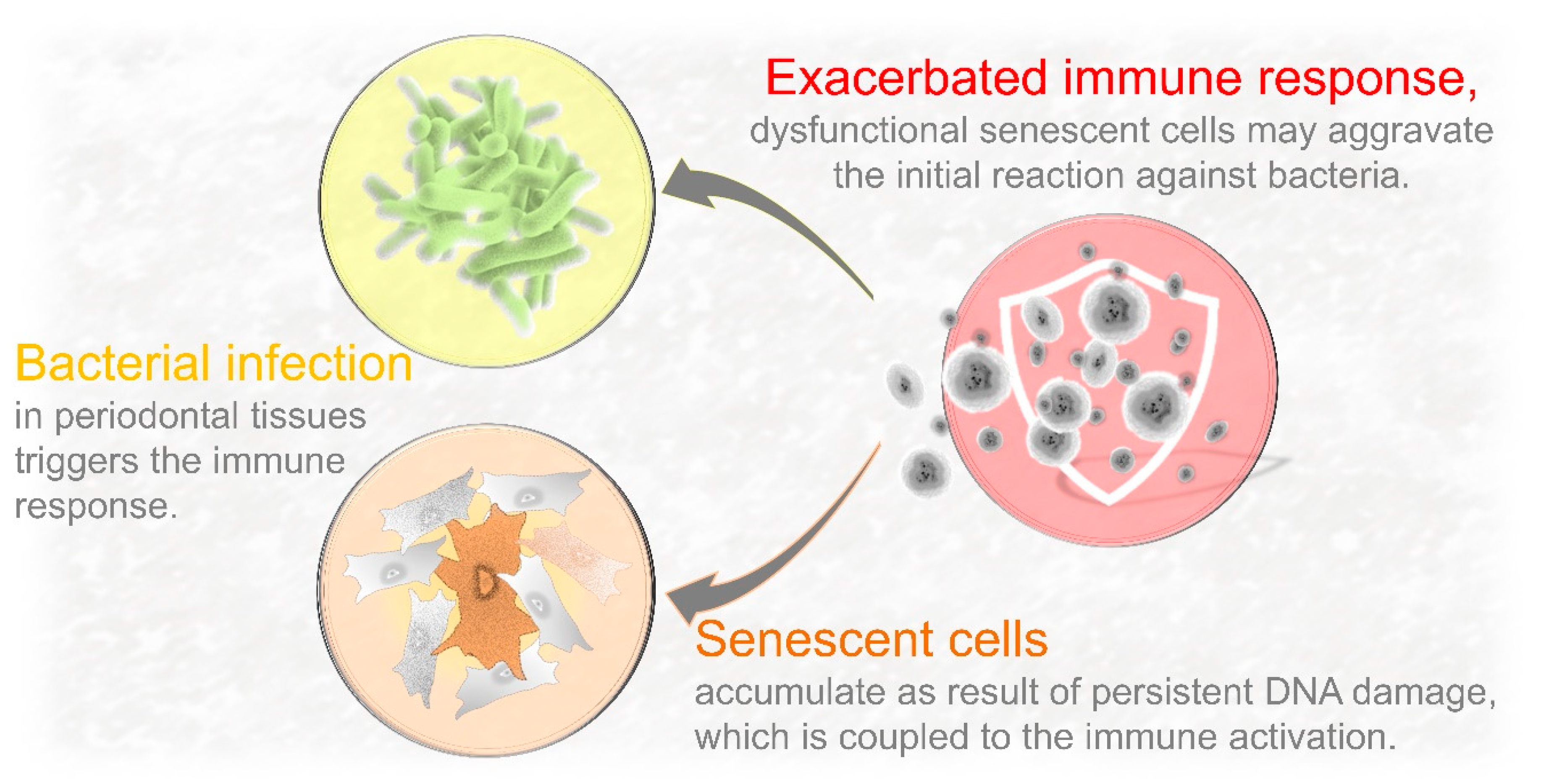 Ijms 21 07441 g003 Ijms 21 07441 g003