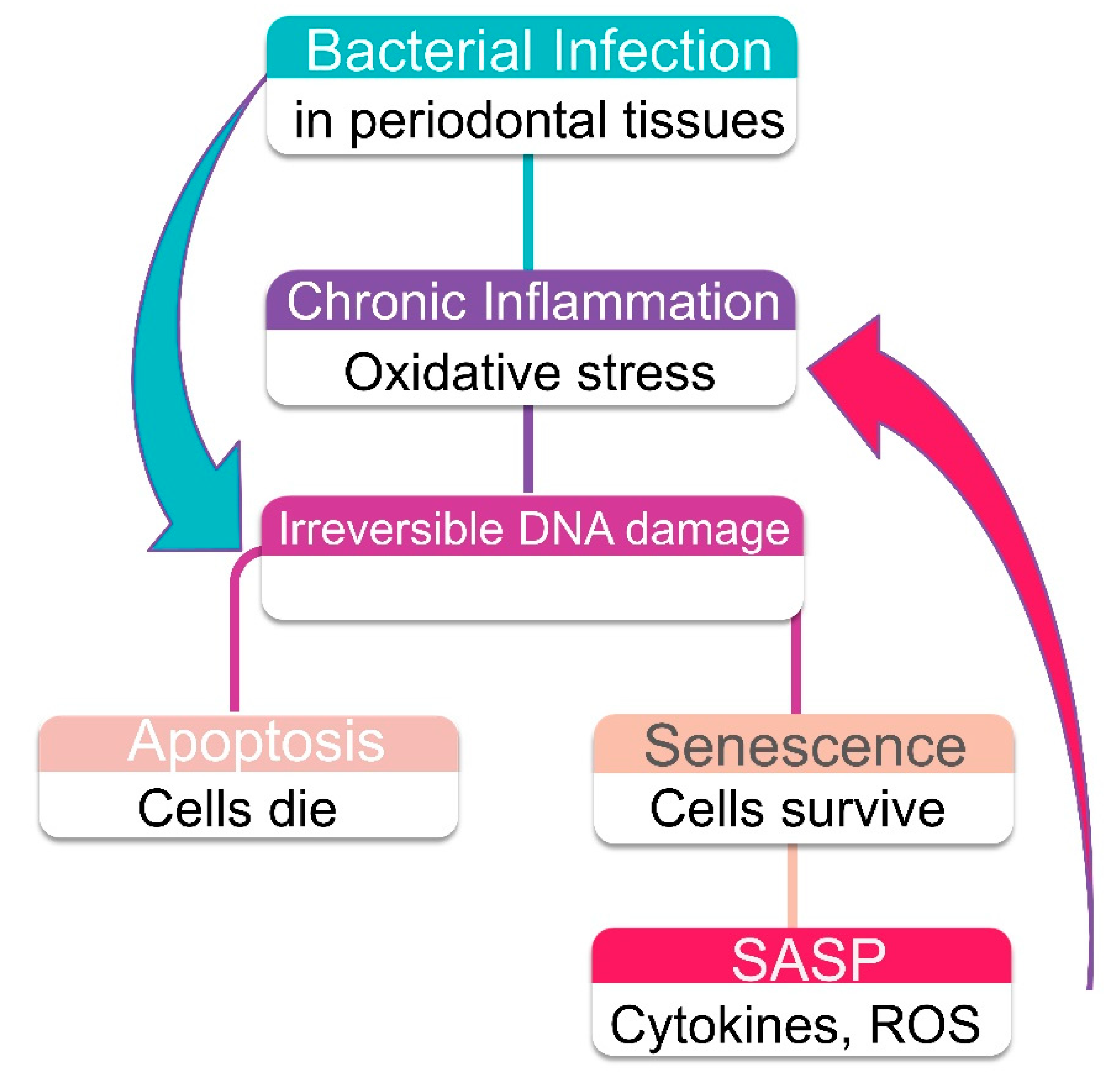 Ijms 21 07441 g004 Ijms 21 07441 g004