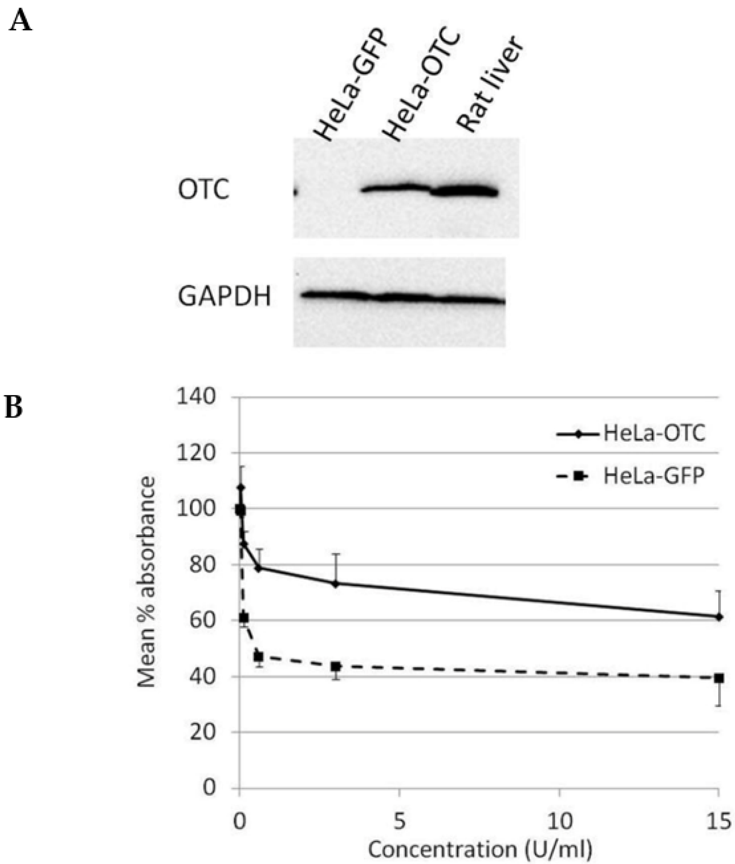 Ijms 21 07445 g004 Ijms 21 07445 g004