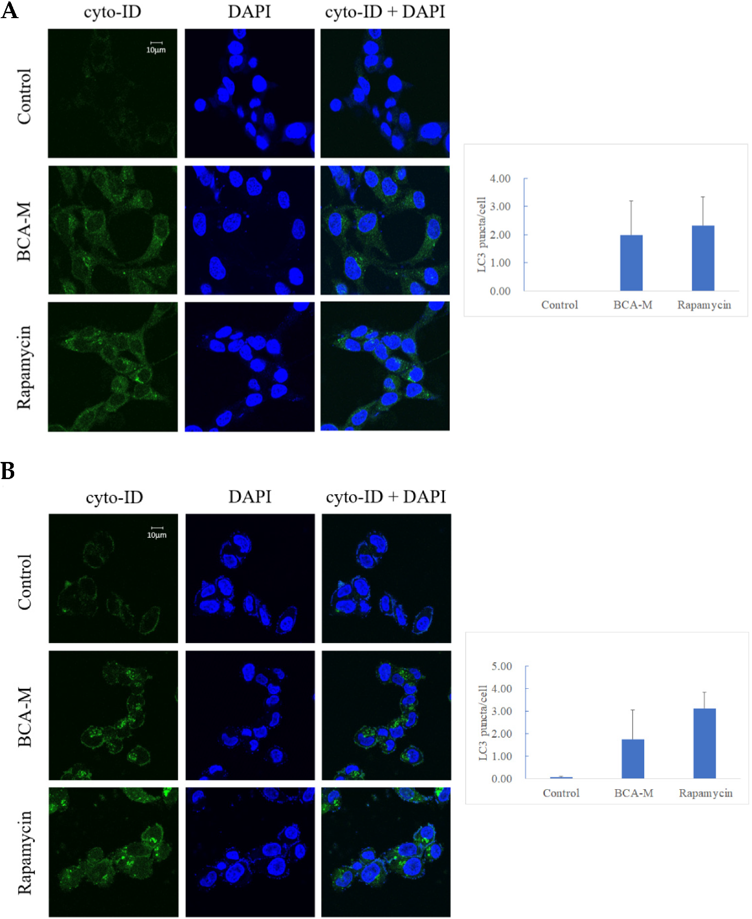 Ijms 21 07445 g008 Ijms 21 07445 g008