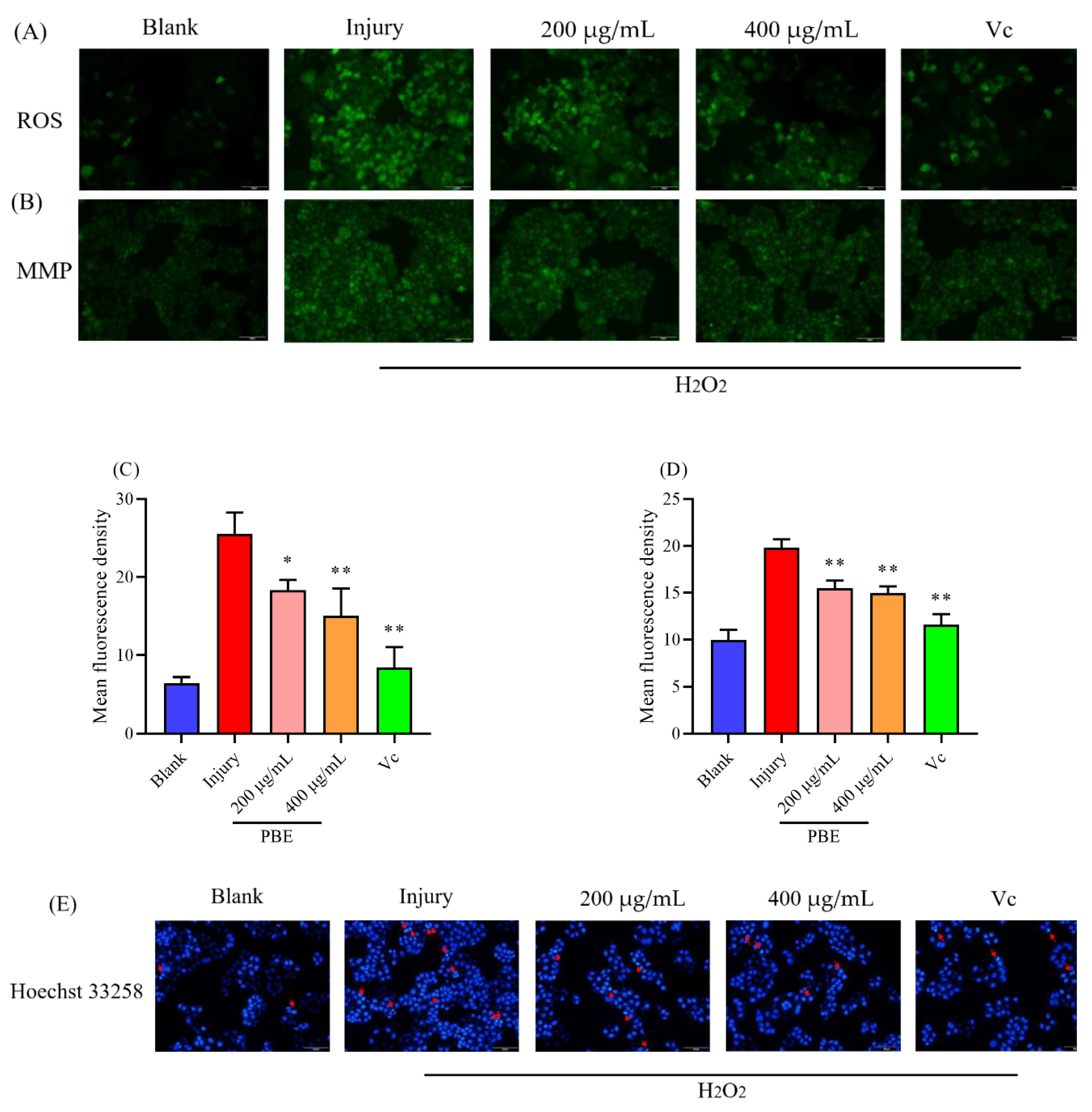 Ijms 21 07456 g002 Ijms 21 07456 g002