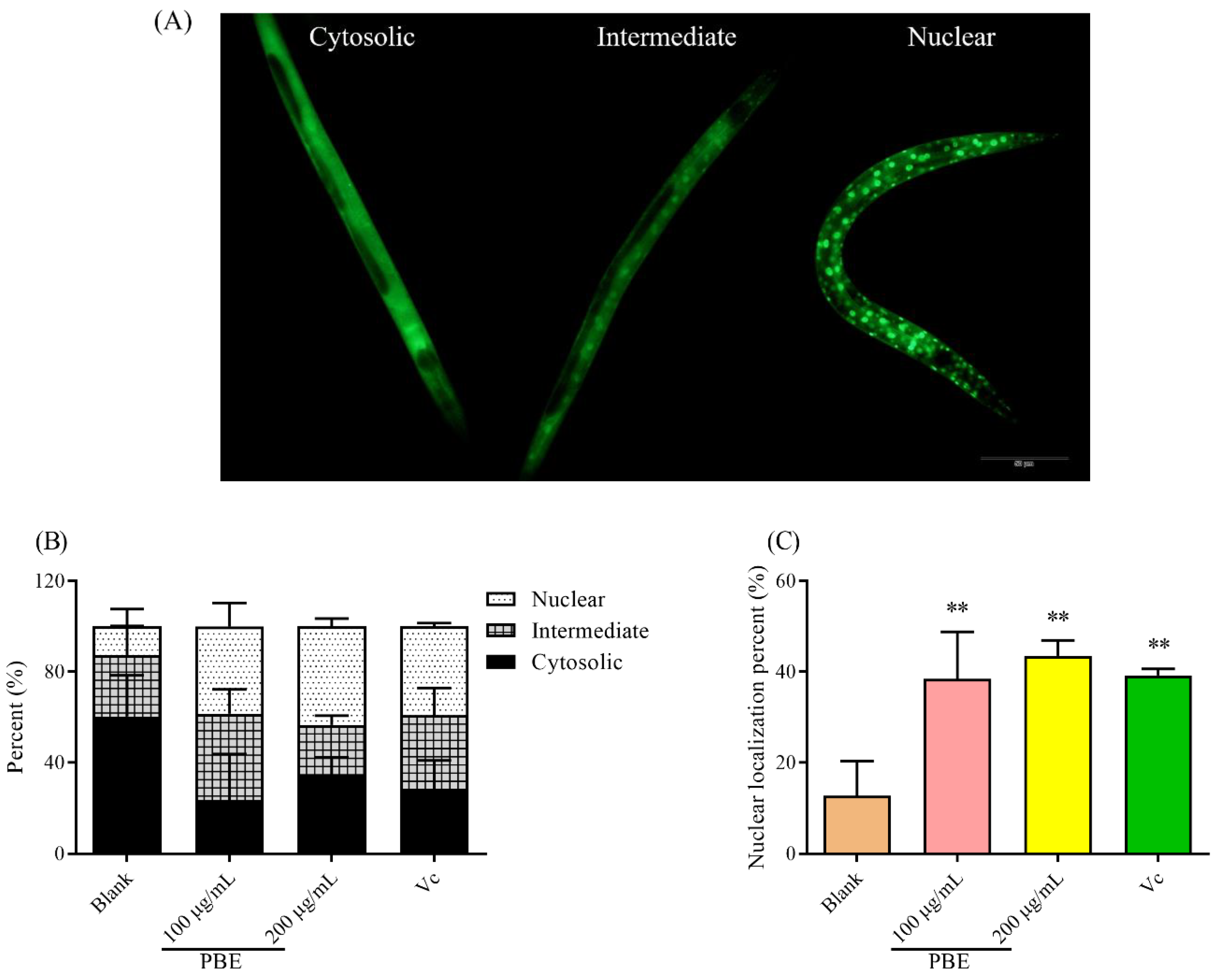 Ijms 21 07456 g005 Ijms 21 07456 g005