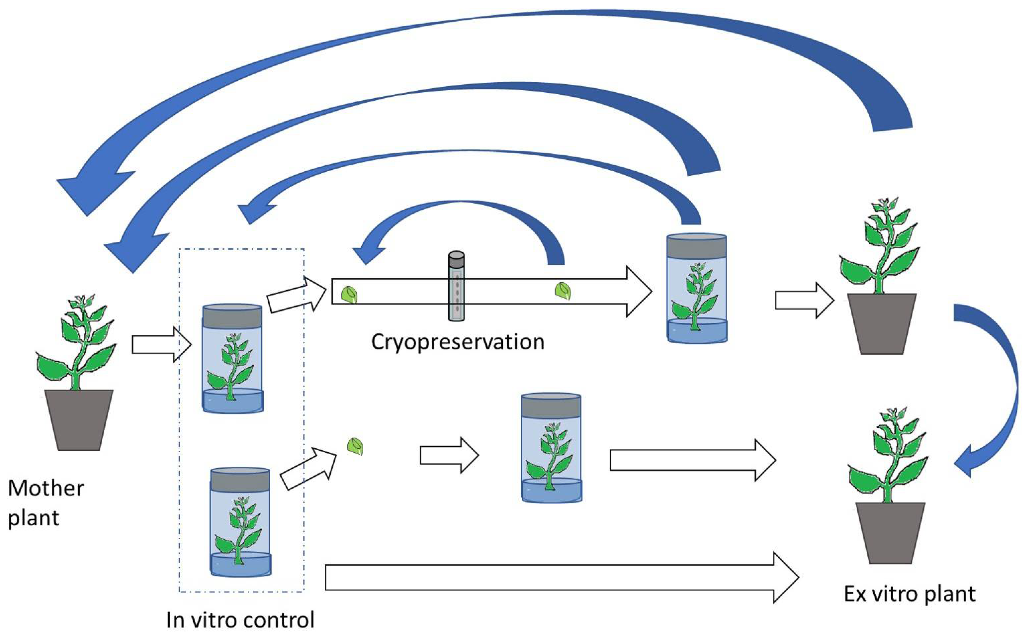 Ijms 21 07459 g001 Ijms 21 07459 g001