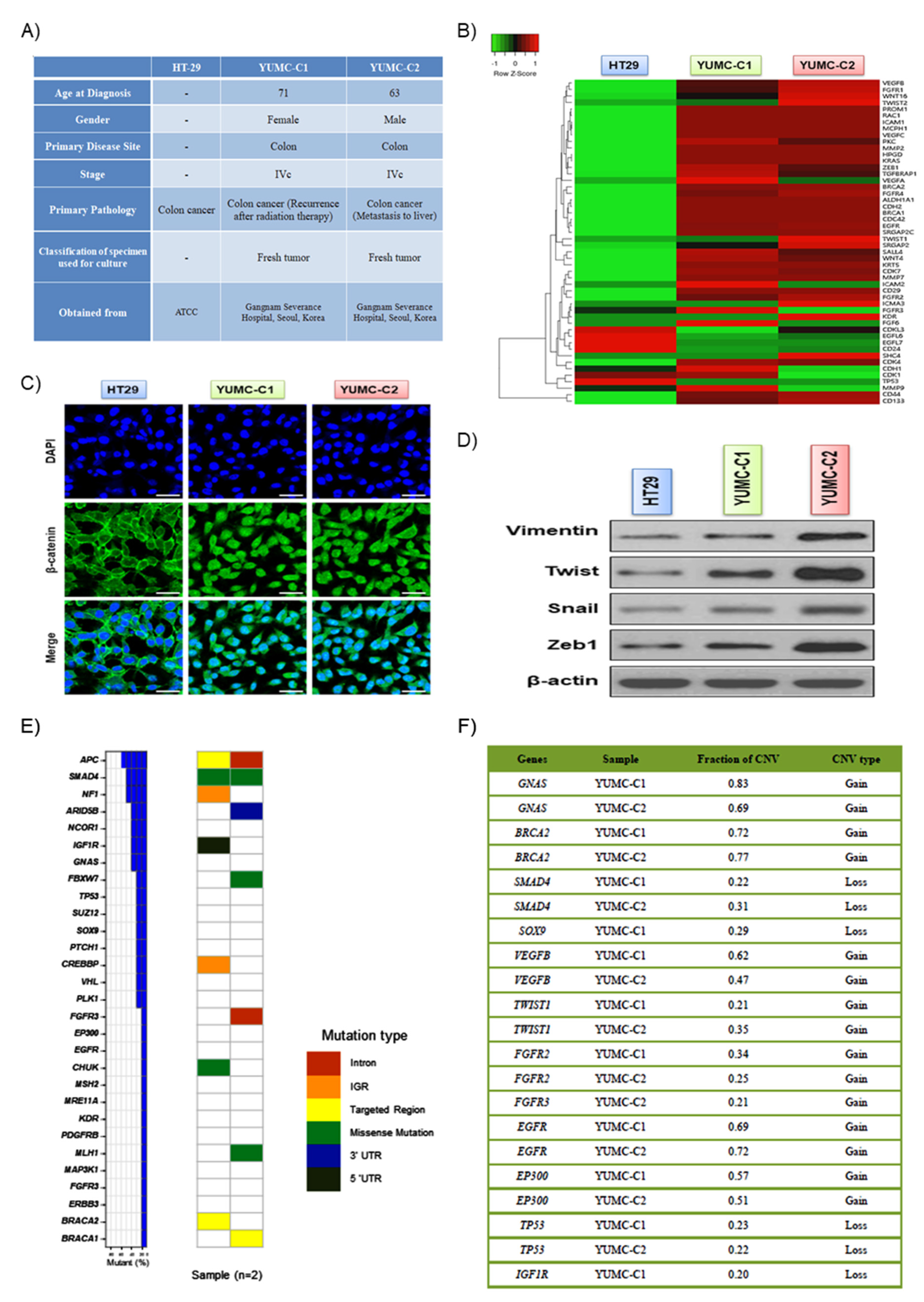 Ijms 21 07469 g001 Ijms 21 07469 g001