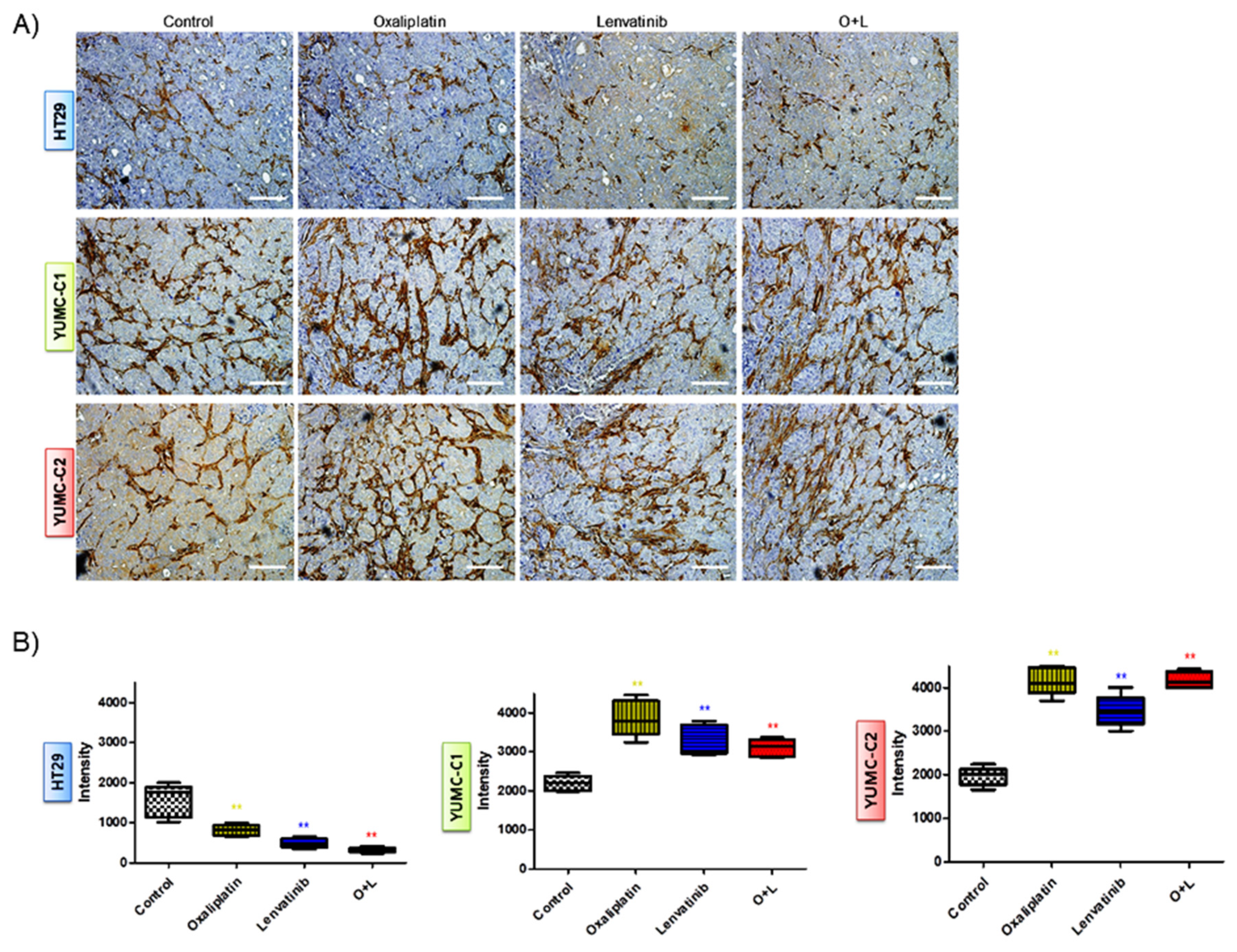 Ijms 21 07469 g006 Ijms 21 07469 g006