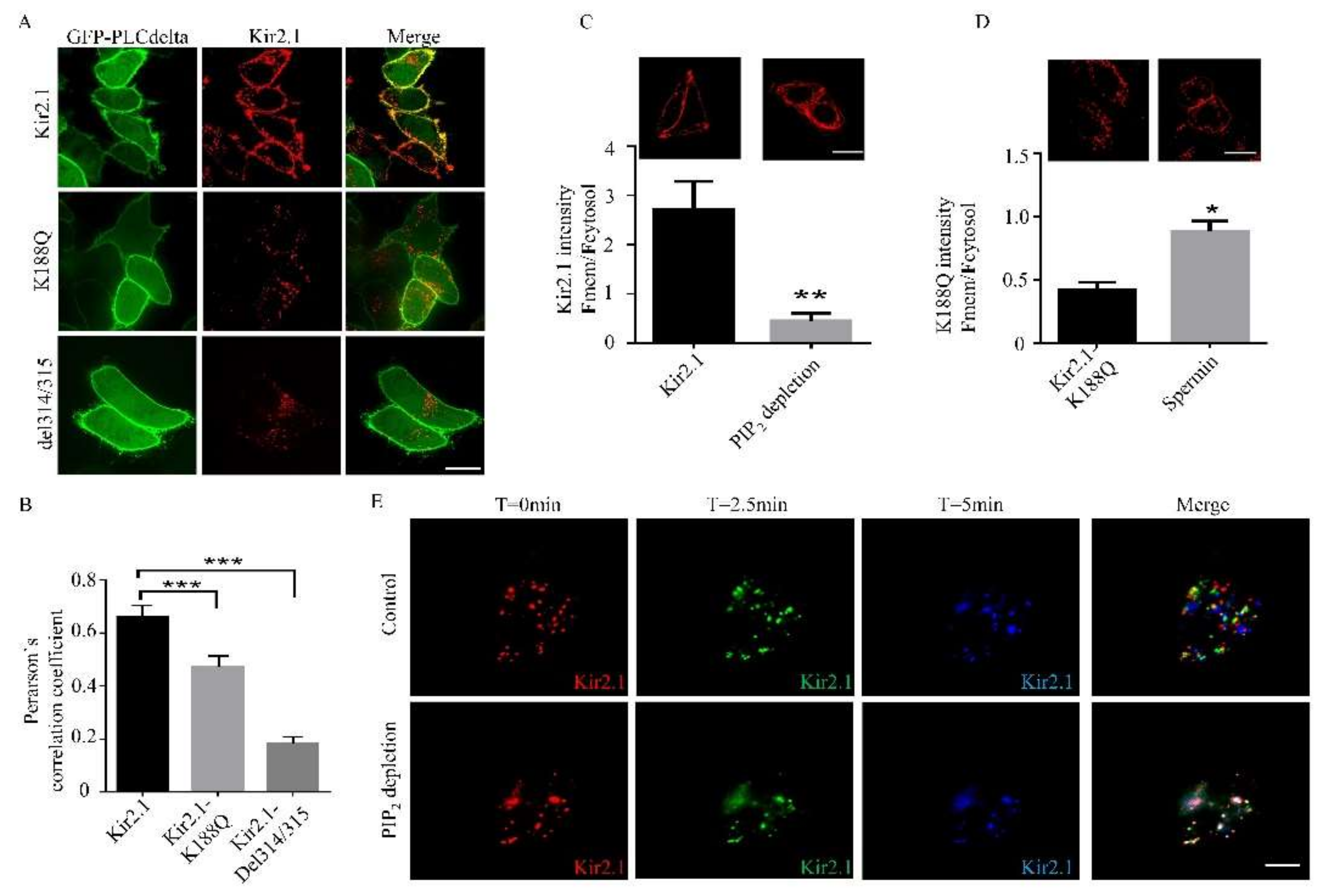 Ijms 21 07479 g004 Ijms 21 07479 g004