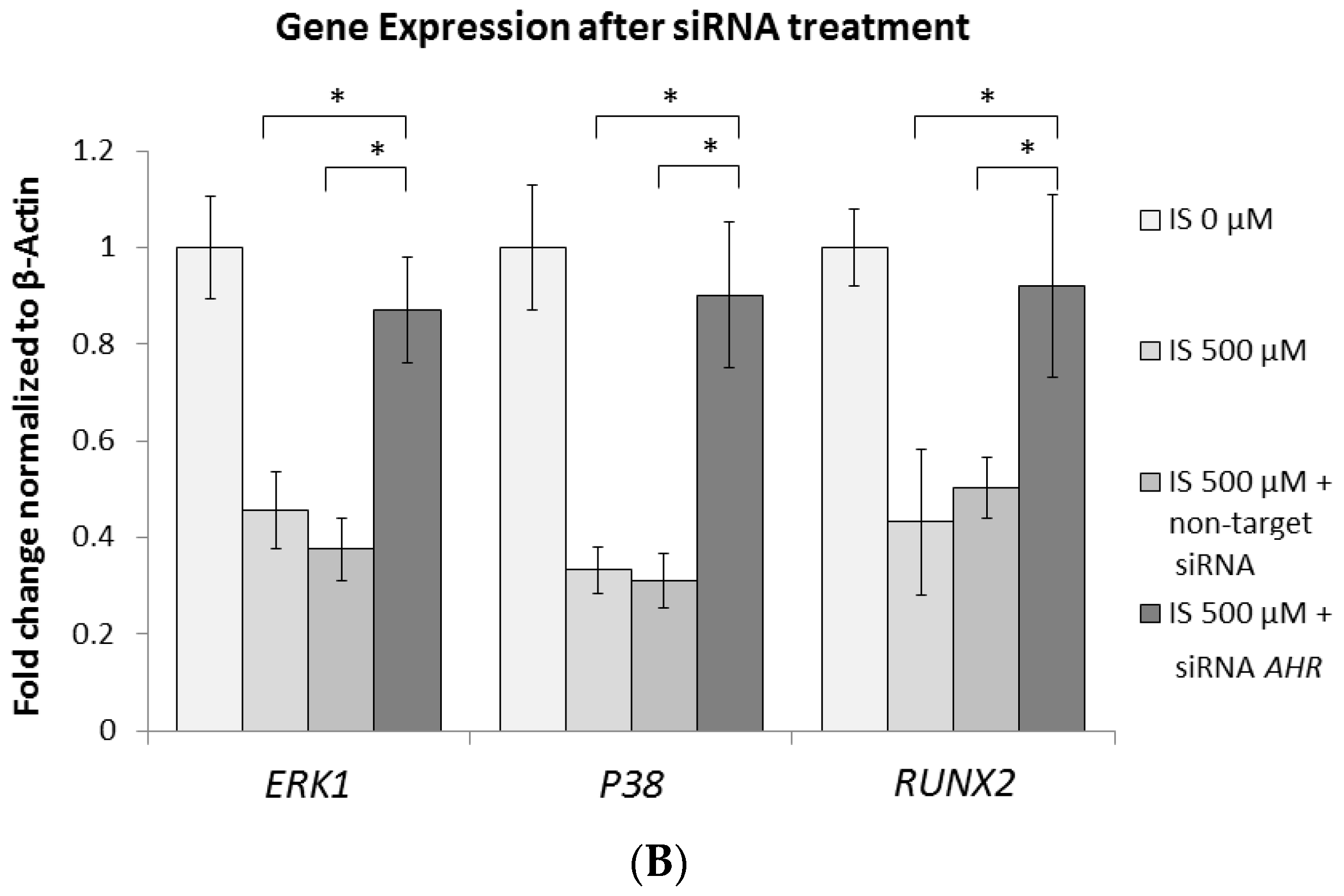 Ijms 21 07483 g006b Ijms 21 07483 g006b