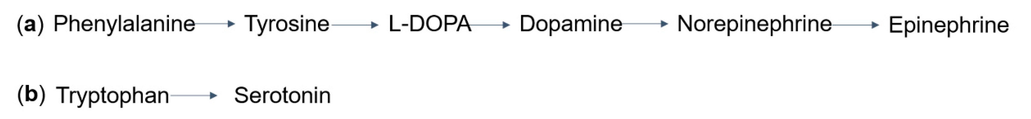 Ijms 21 07490 g003 Ijms 21 07490 g003