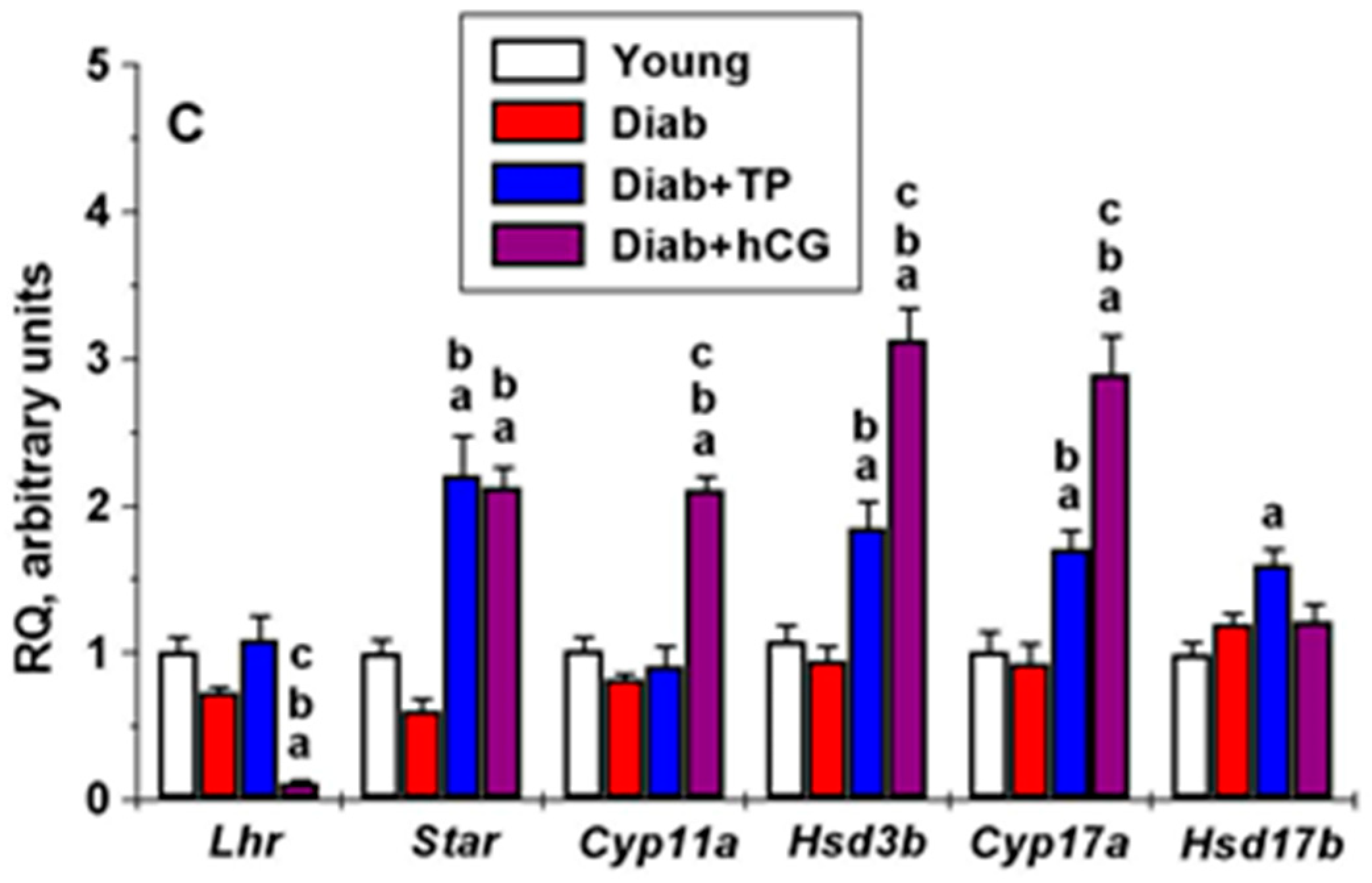 Ijms 21 07493 g004b Ijms 21 07493 g004b
