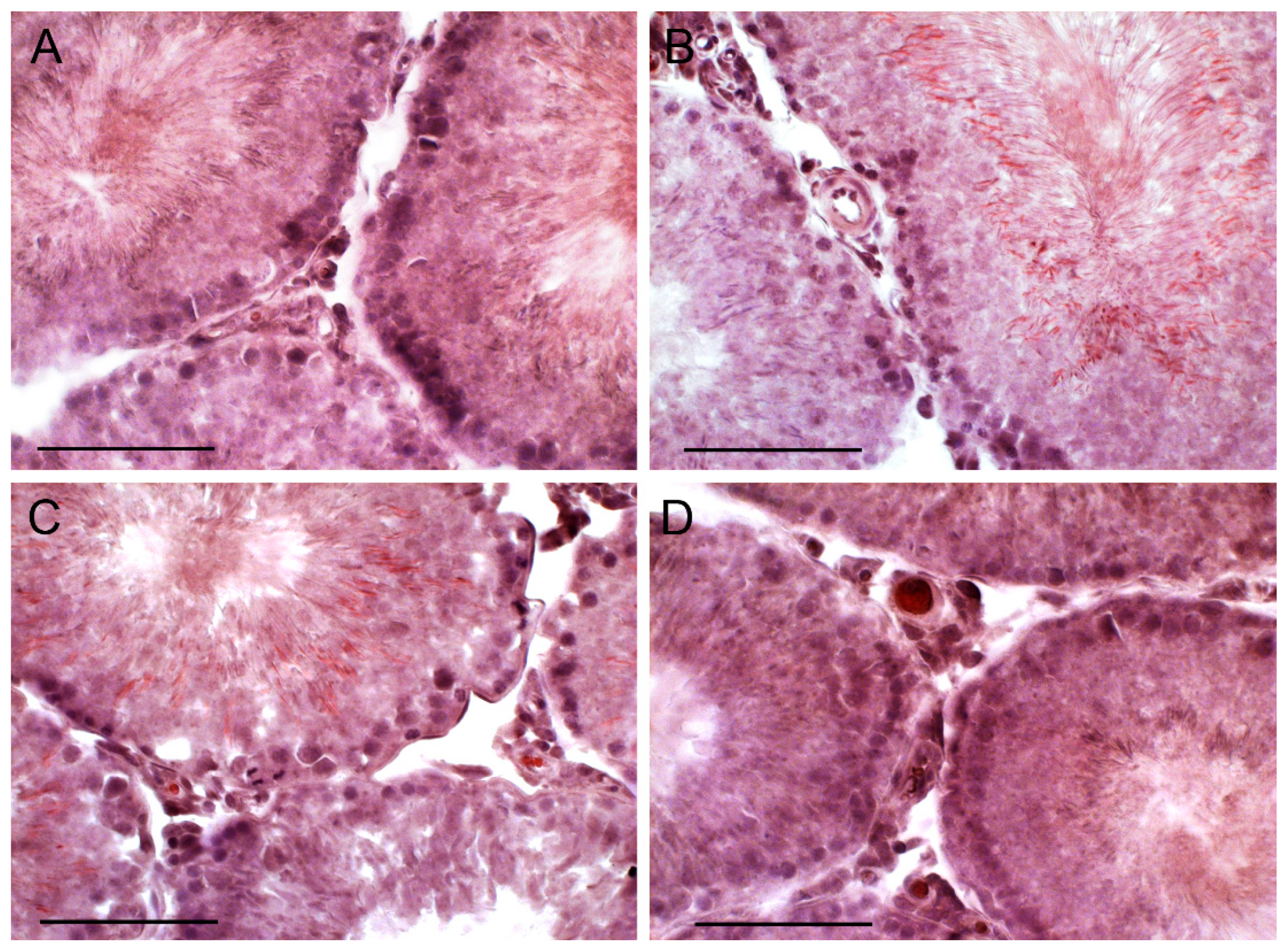 Ijms 21 07493 g005 Ijms 21 07493 g005