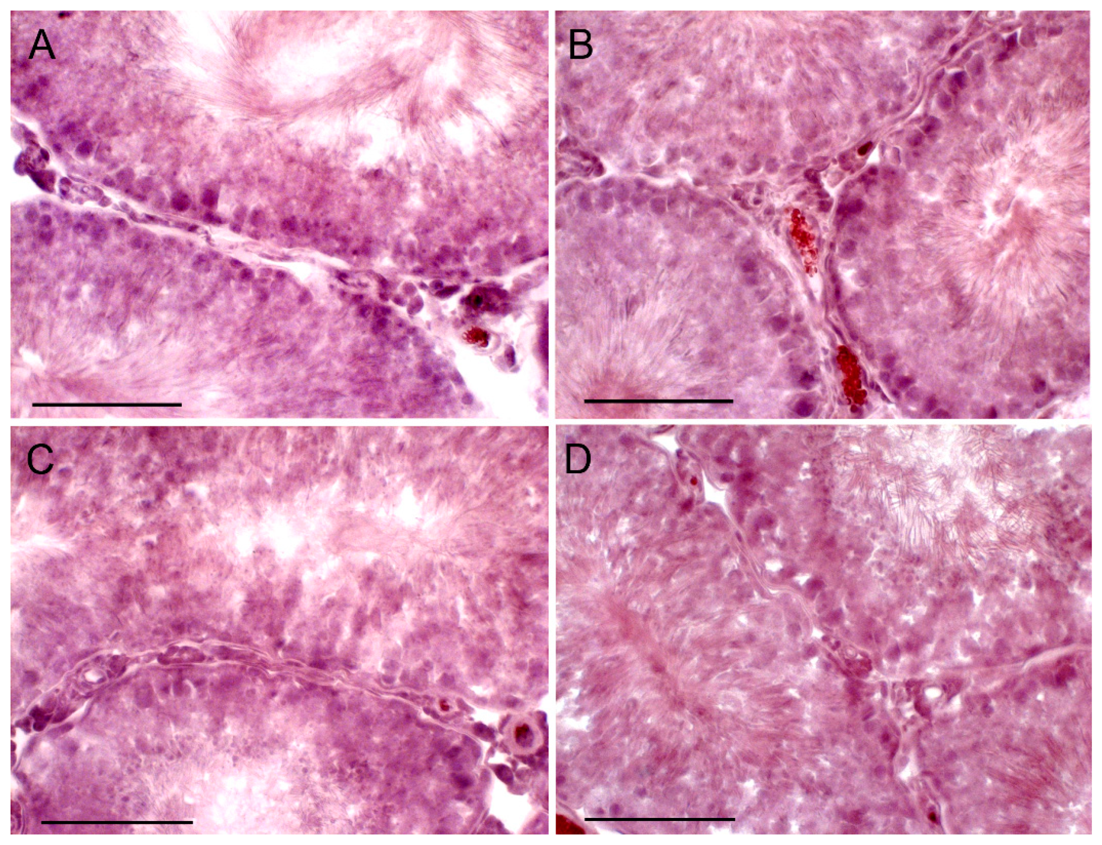 Ijms 21 07493 g006 Ijms 21 07493 g006