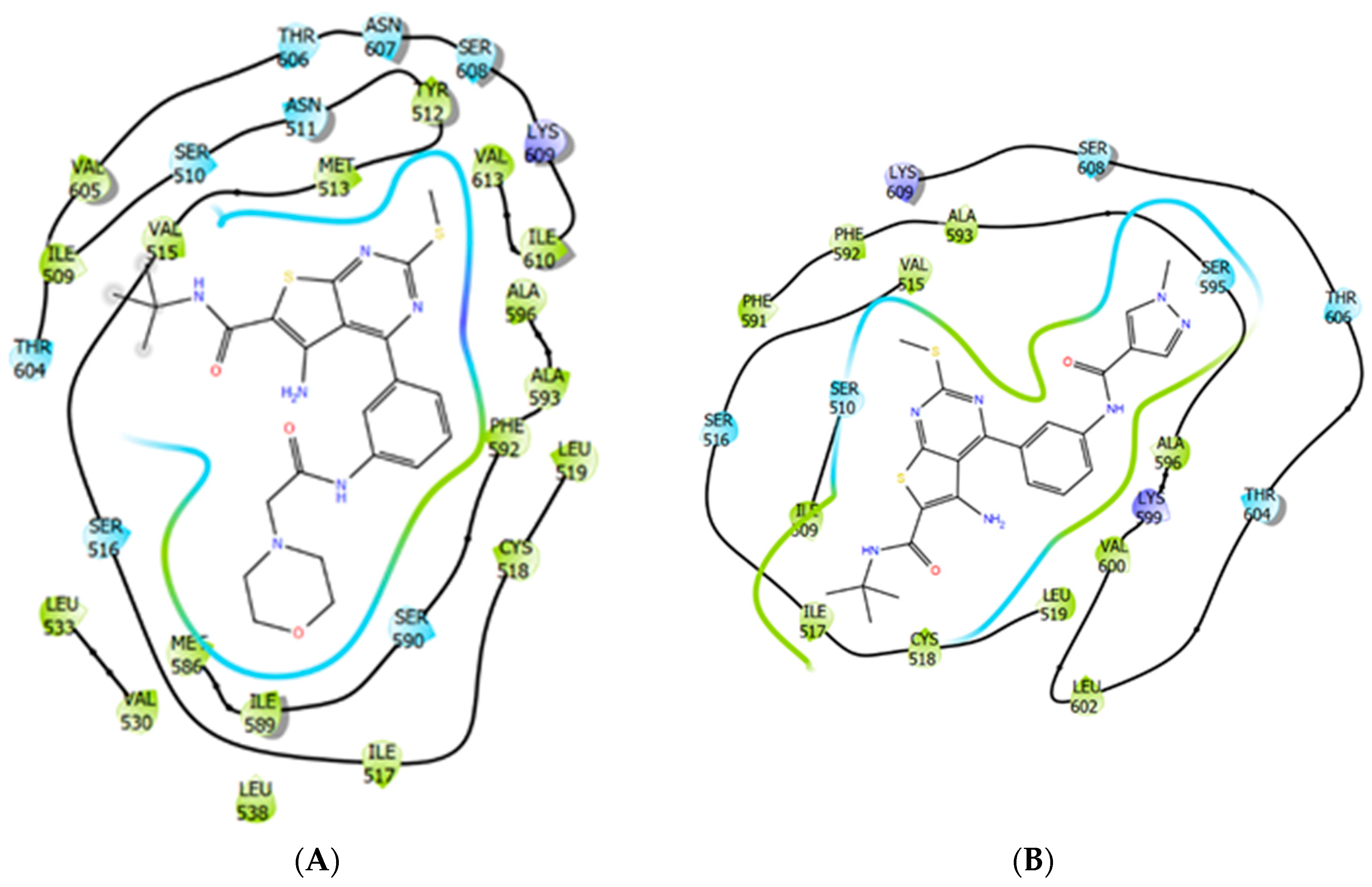 Ijms 21 07493 g008 Ijms 21 07493 g008