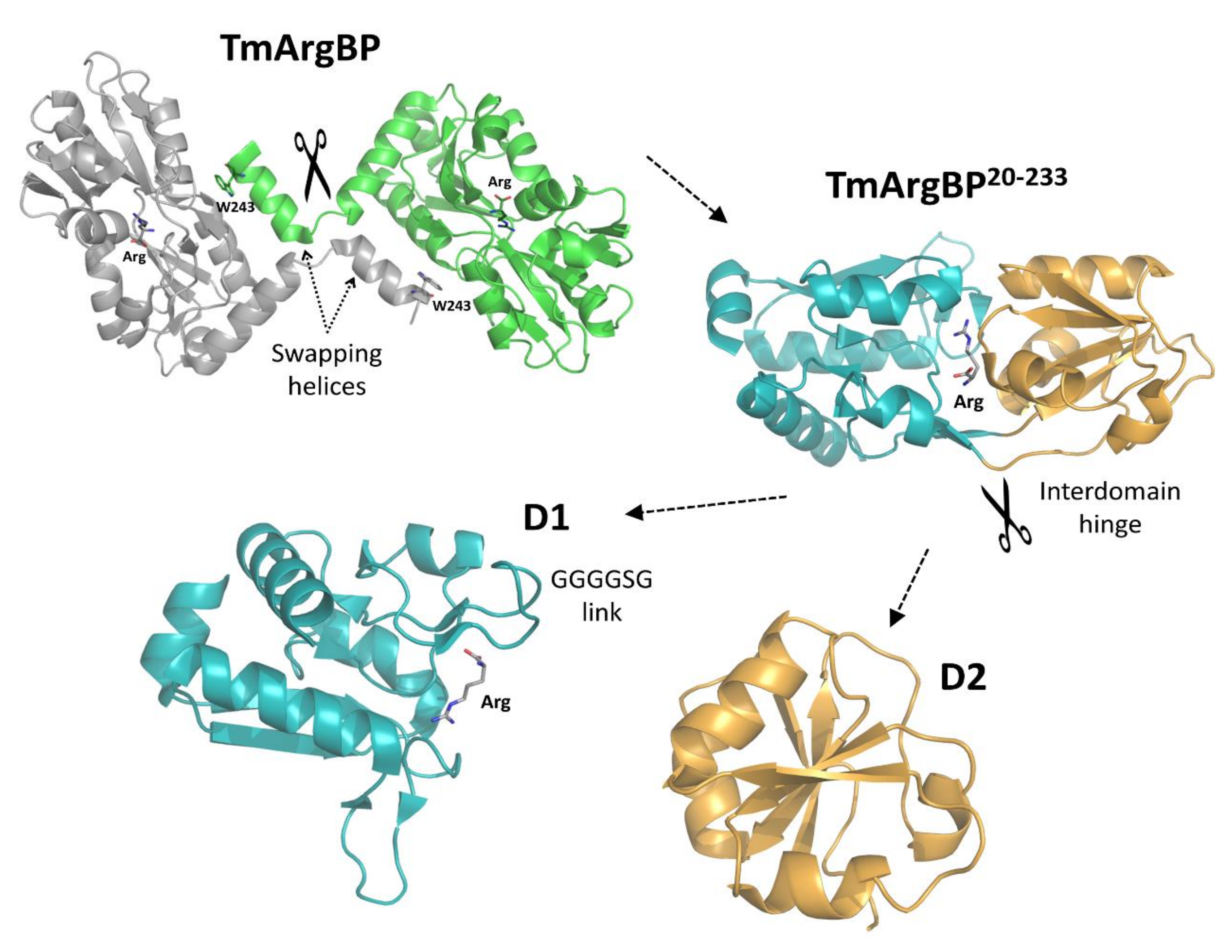 Ijms 21 07503 g001 Ijms 21 07503 g001