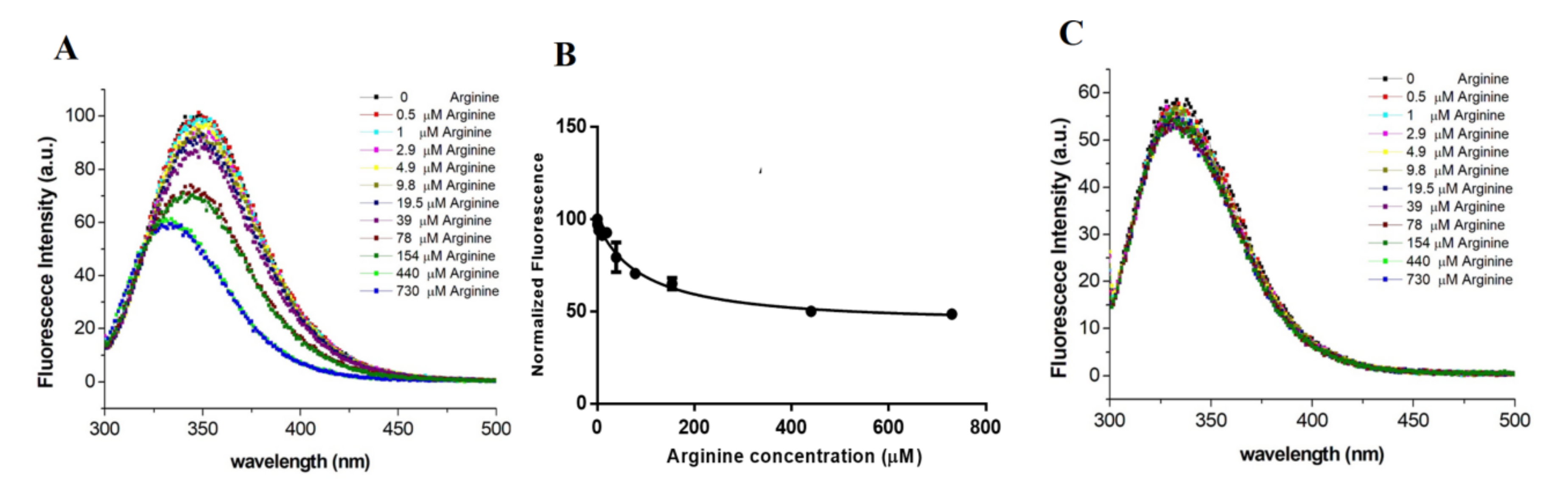 Ijms 21 07503 g004 Ijms 21 07503 g004