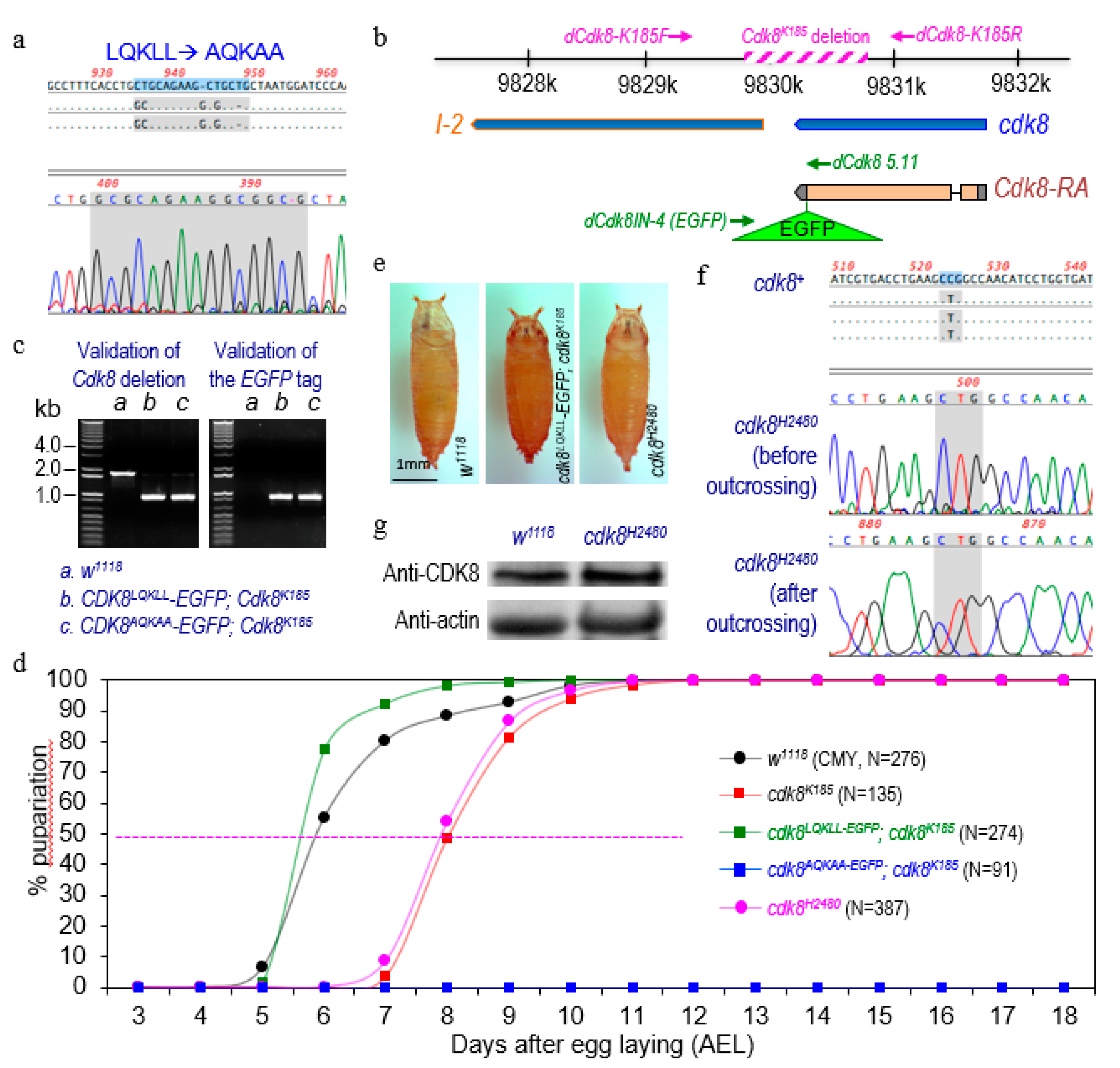 Ijms 21 07511 g001 Ijms 21 07511 g001
