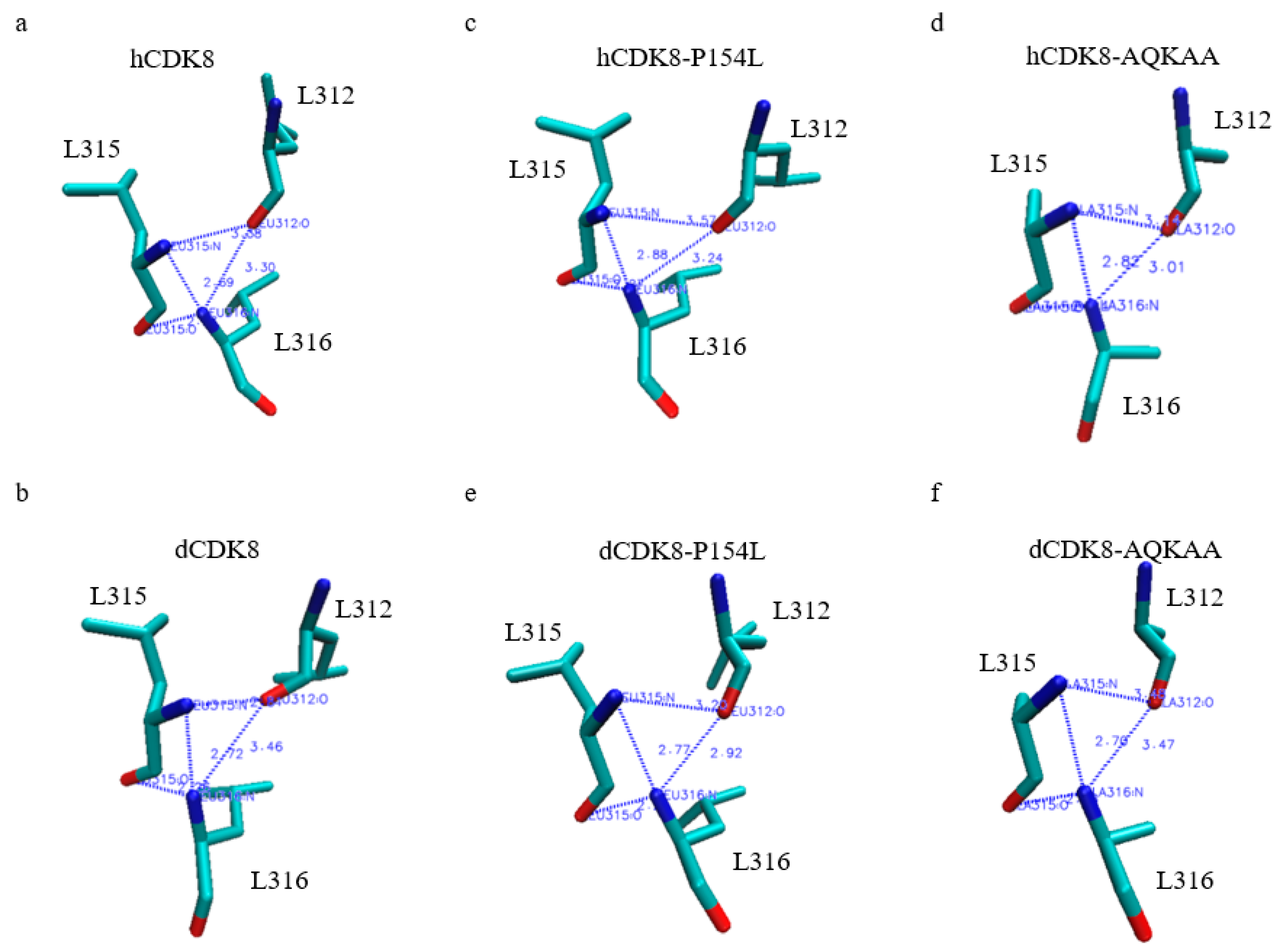 Ijms 21 07511 g004 Ijms 21 07511 g004