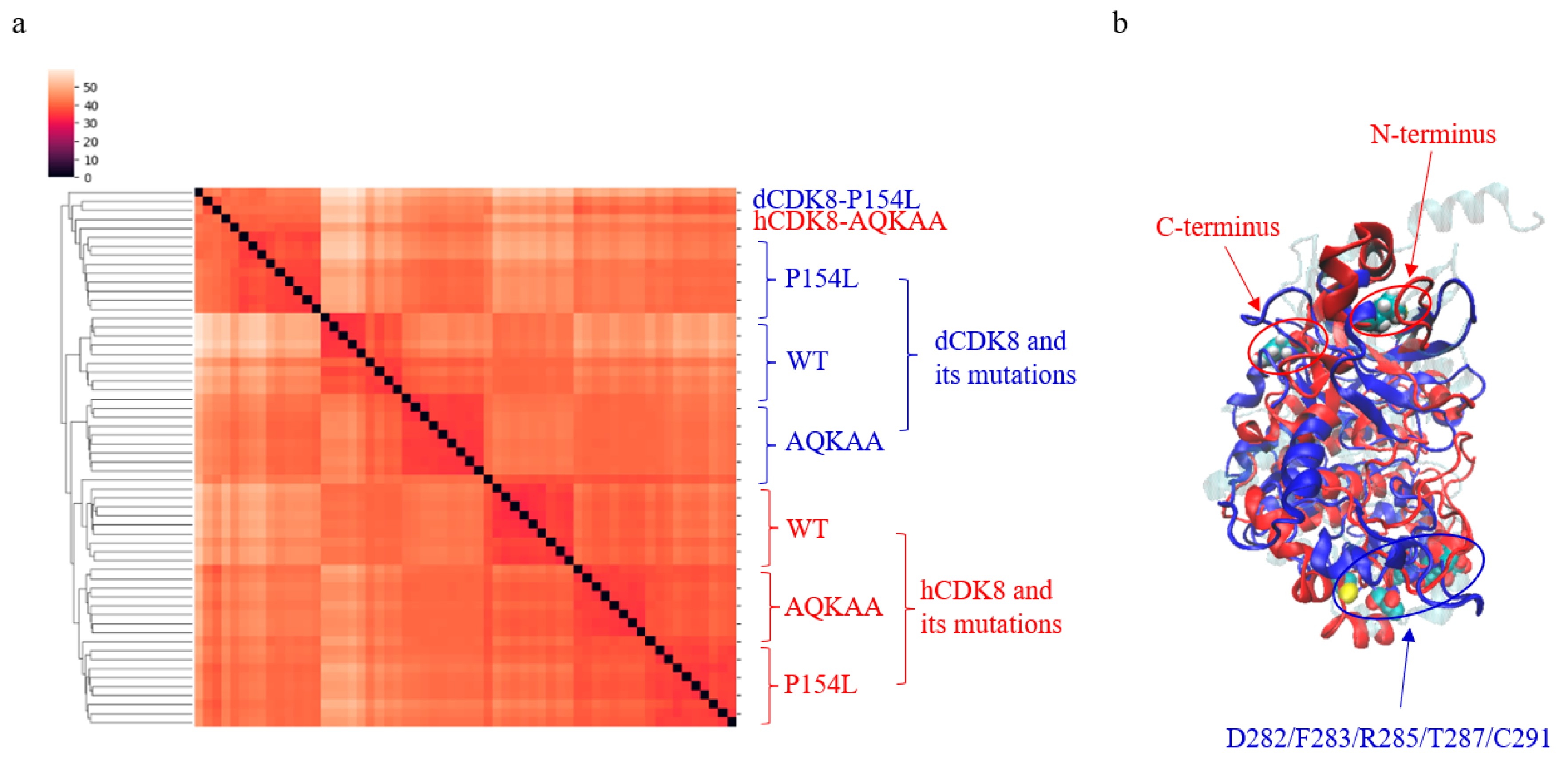 Ijms 21 07511 g009 Ijms 21 07511 g009