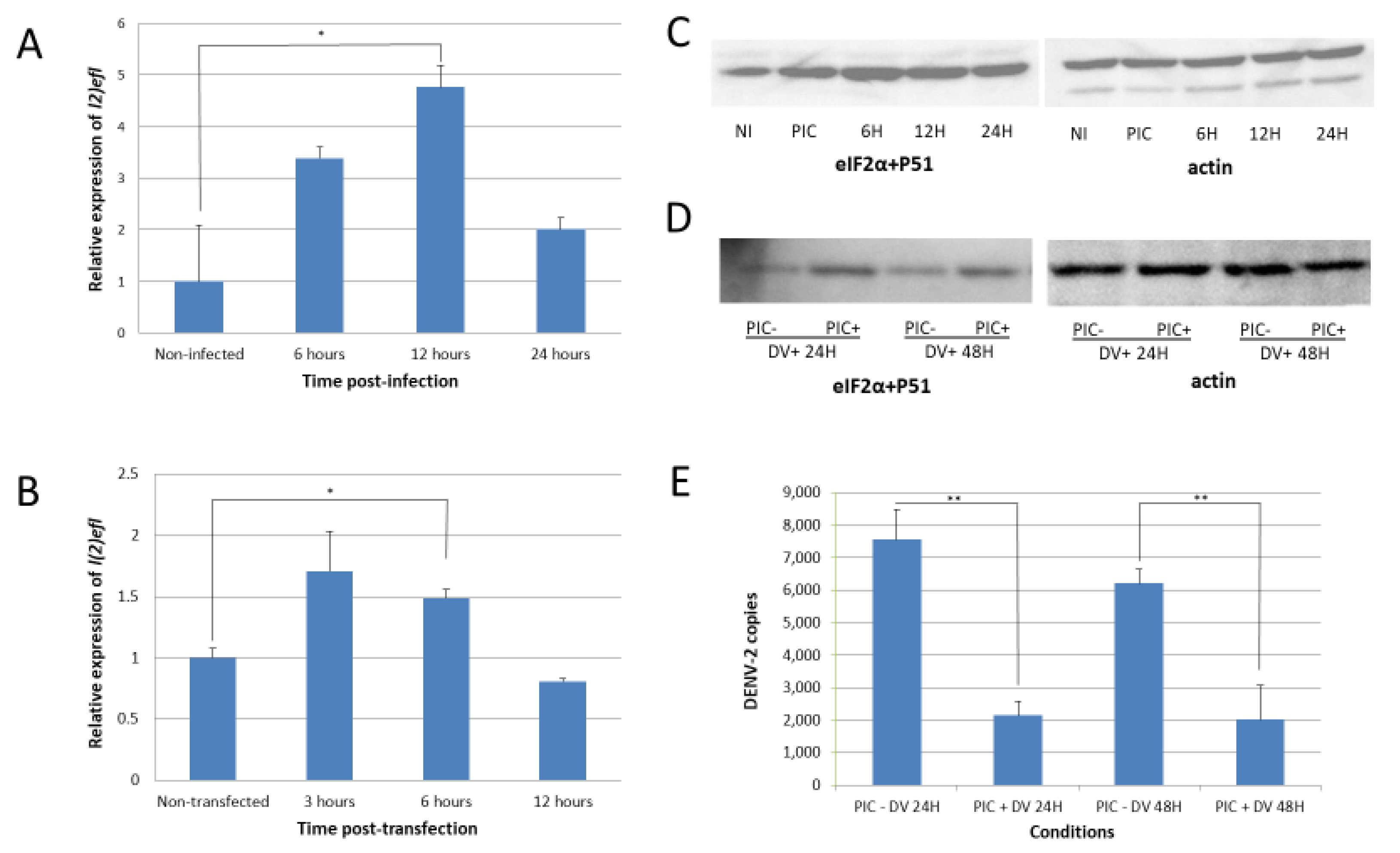Ijms 21 07520 g002 Ijms 21 07520 g002