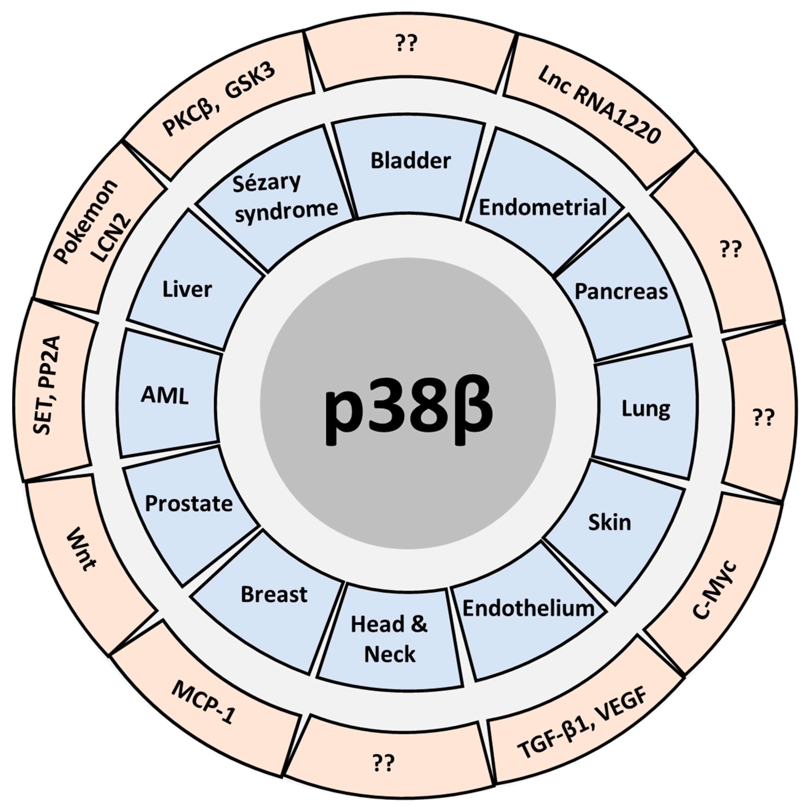 Ijms 21 07524 g001 Ijms 21 07524 g001