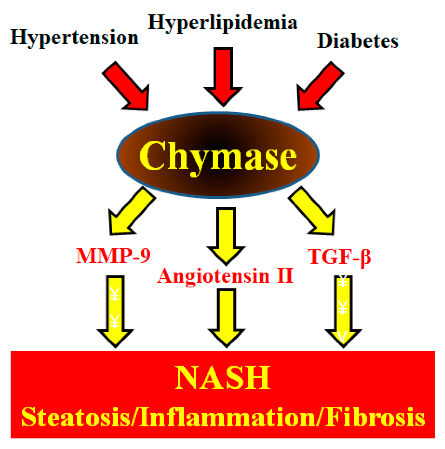 Ijms 21 07543 g001 Ijms 21 07543 g001