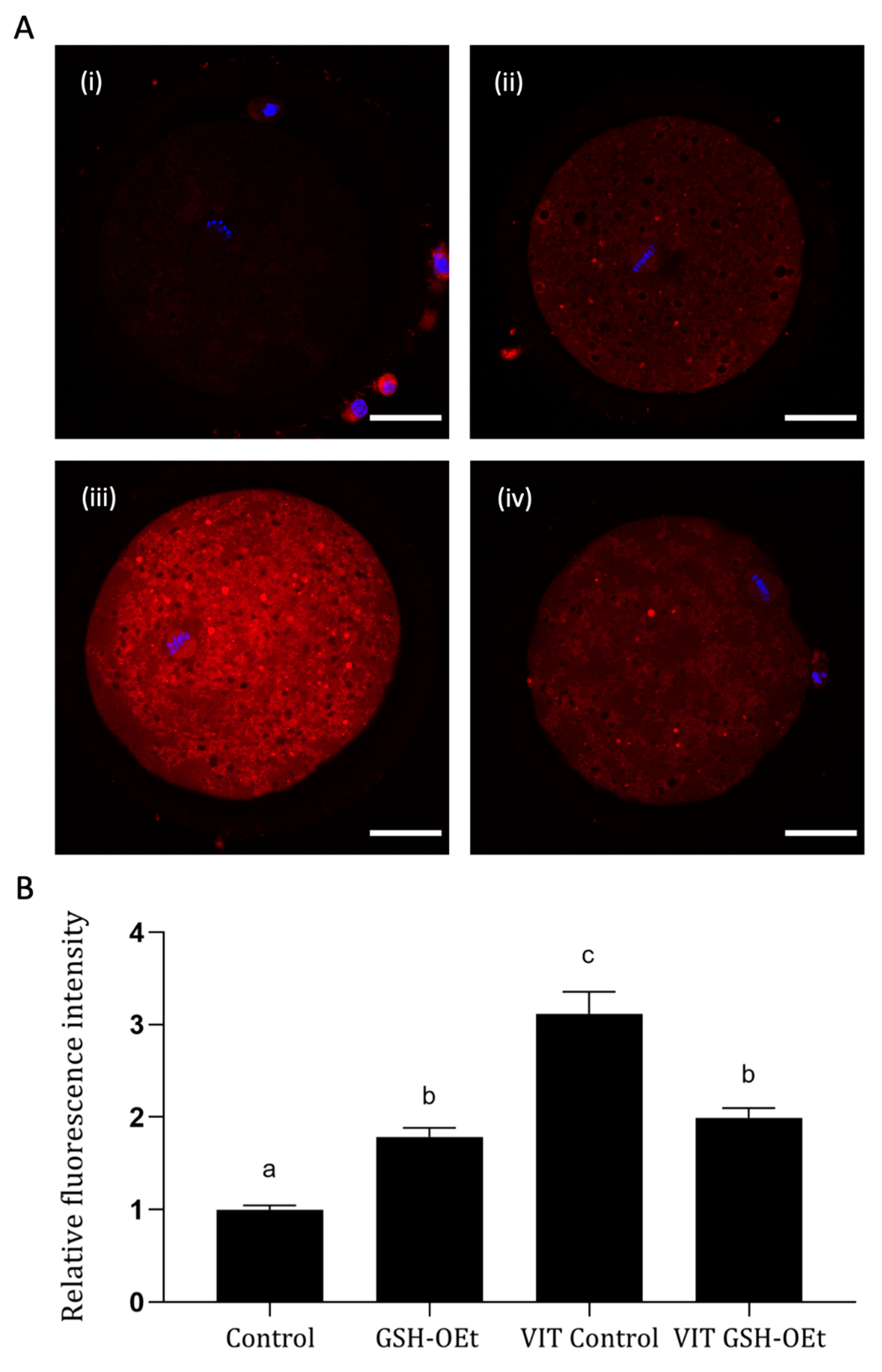 Ijms 21 07547 g003 Ijms 21 07547 g003