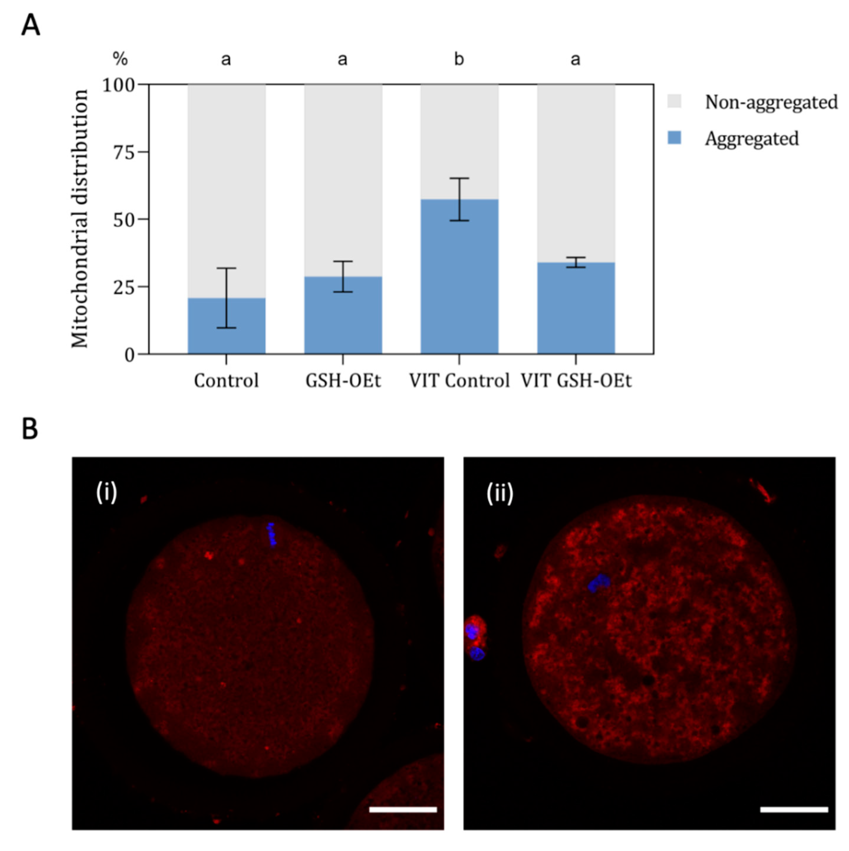 Ijms 21 07547 g004 Ijms 21 07547 g004