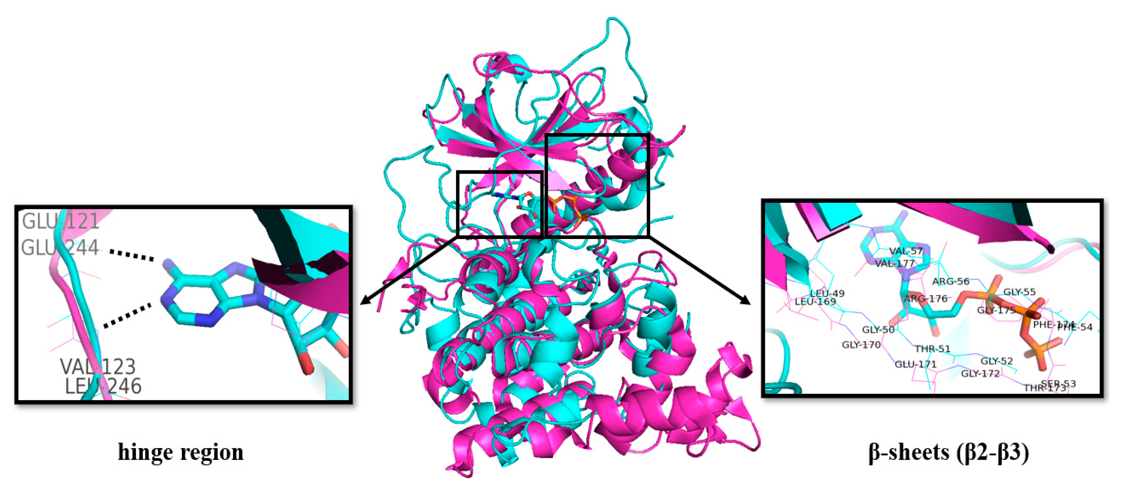 Ijms 21 07549 g003 Ijms 21 07549 g003