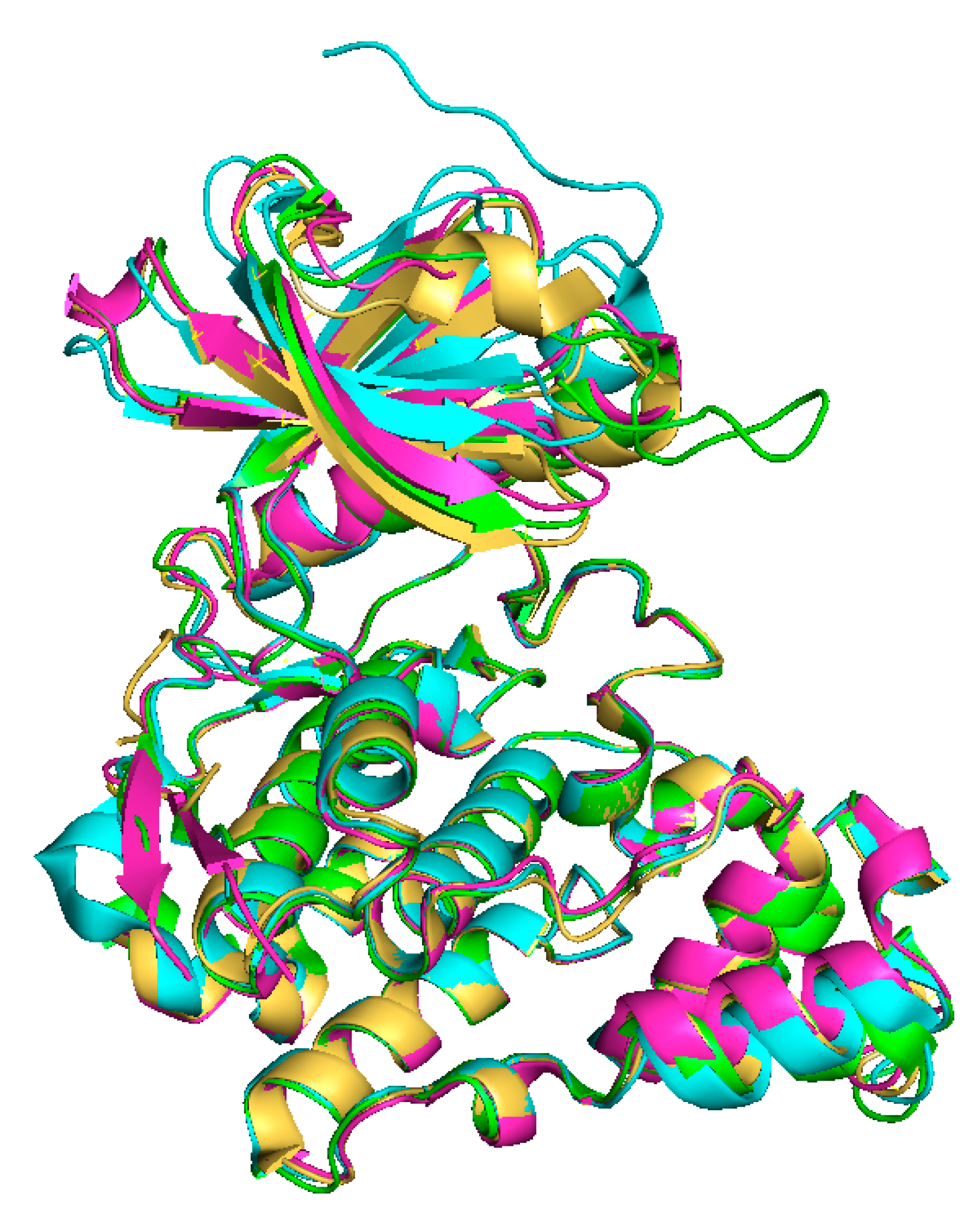 Ijms 21 07549 g004 Ijms 21 07549 g004