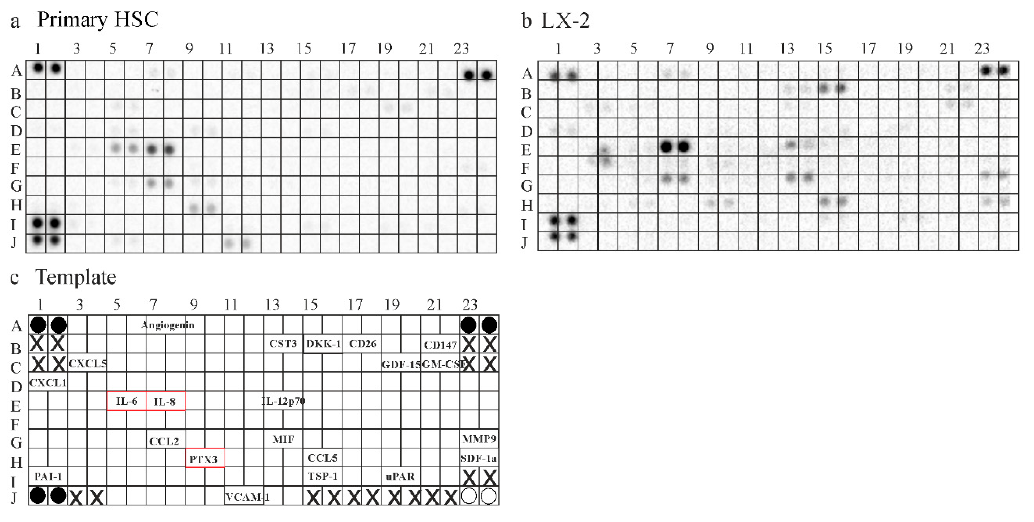 Ijms 21 07555 g006 Ijms 21 07555 g006