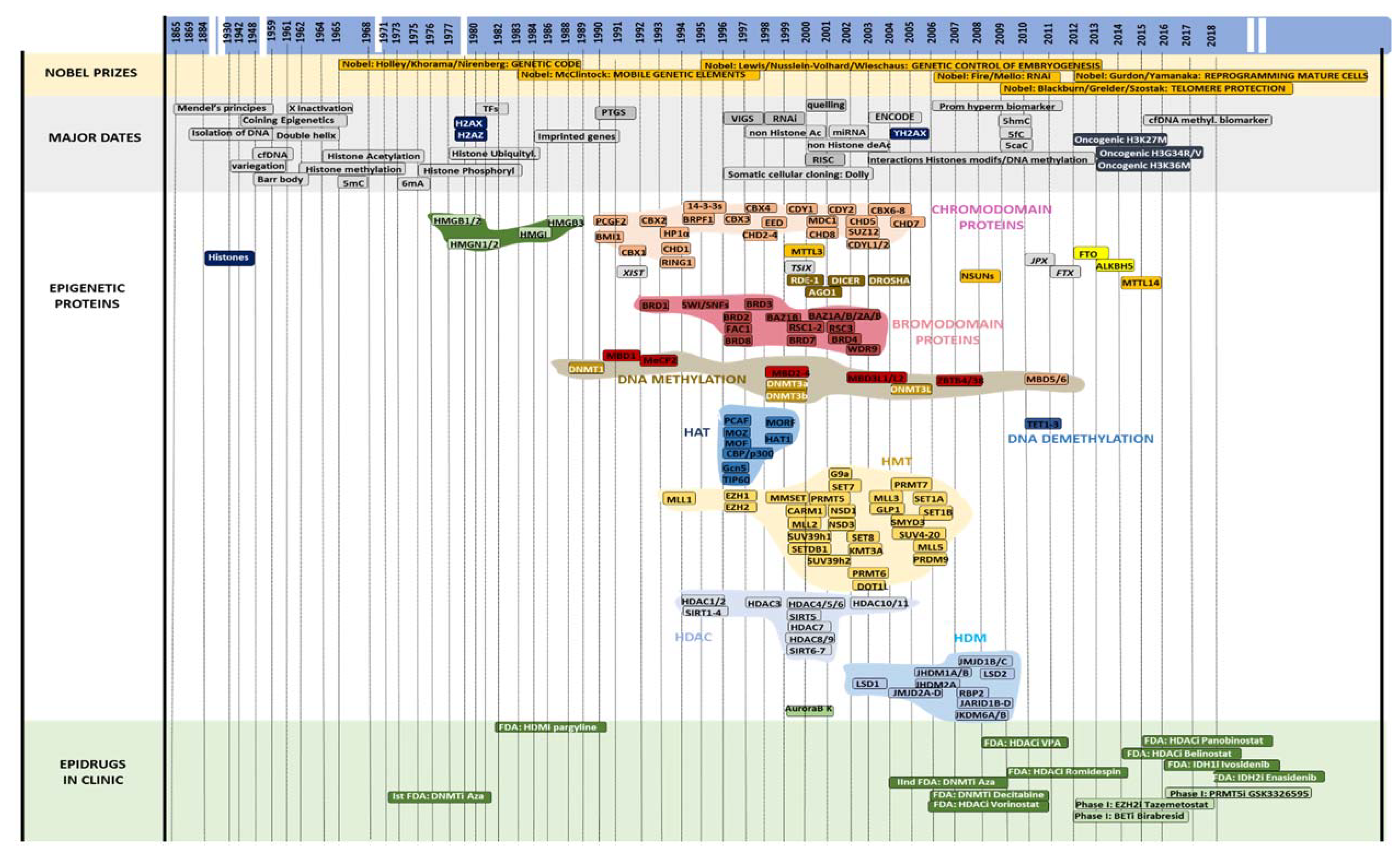 Ijms 21 07571 g001 Ijms 21 07571 g001