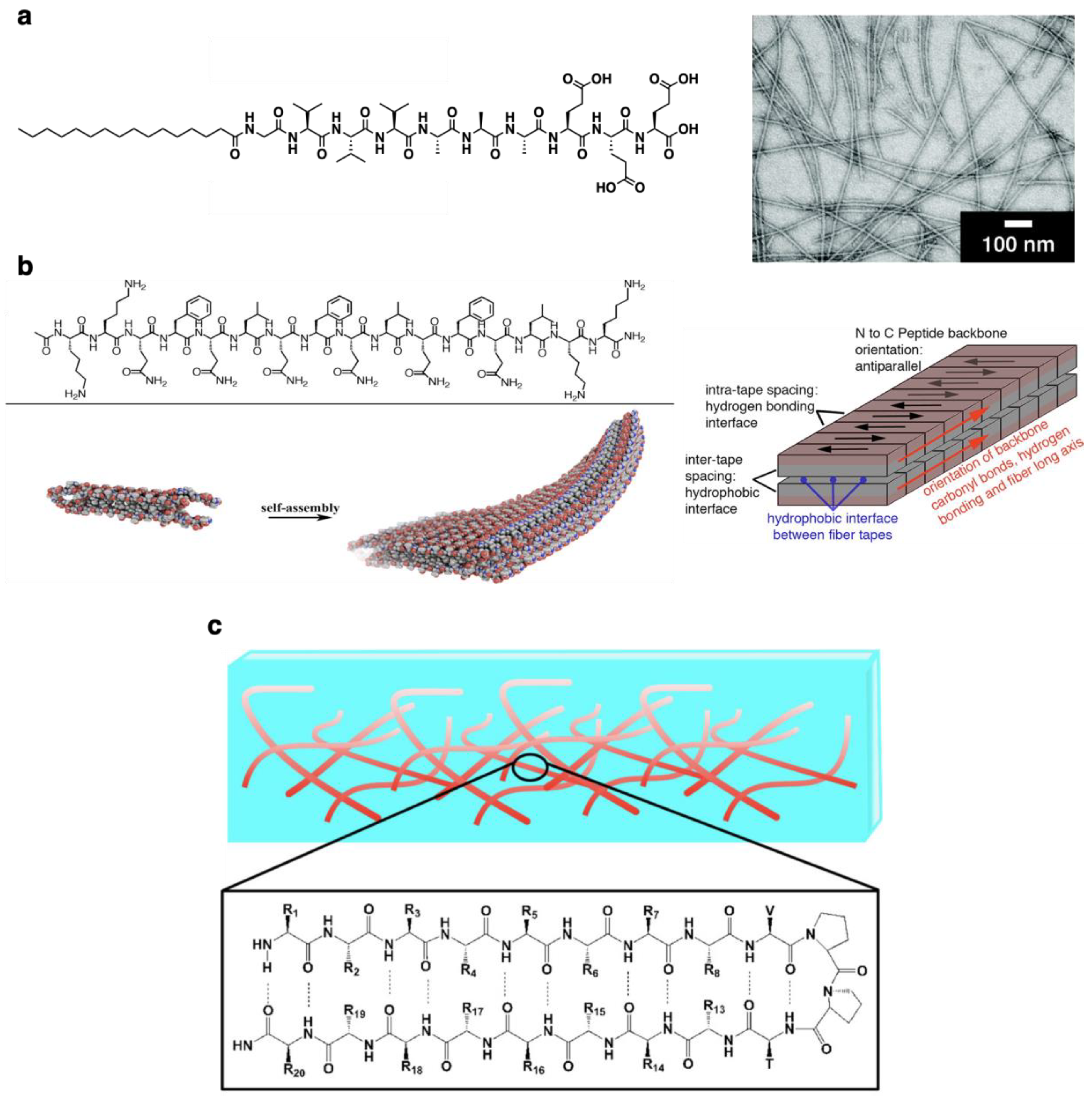 Ijms 21 07577 g002 Ijms 21 07577 g002