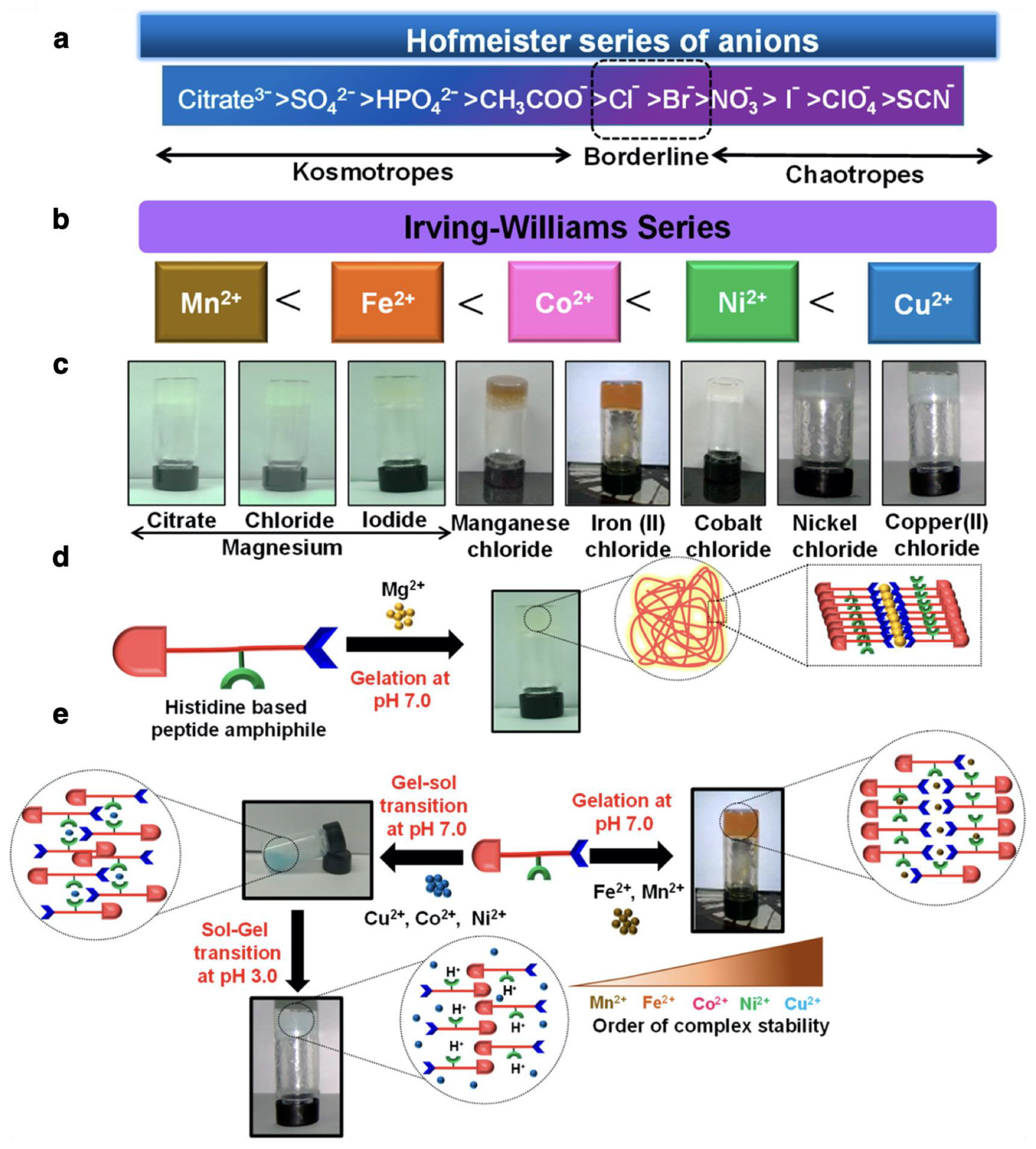 Ijms 21 07577 g005 Ijms 21 07577 g005