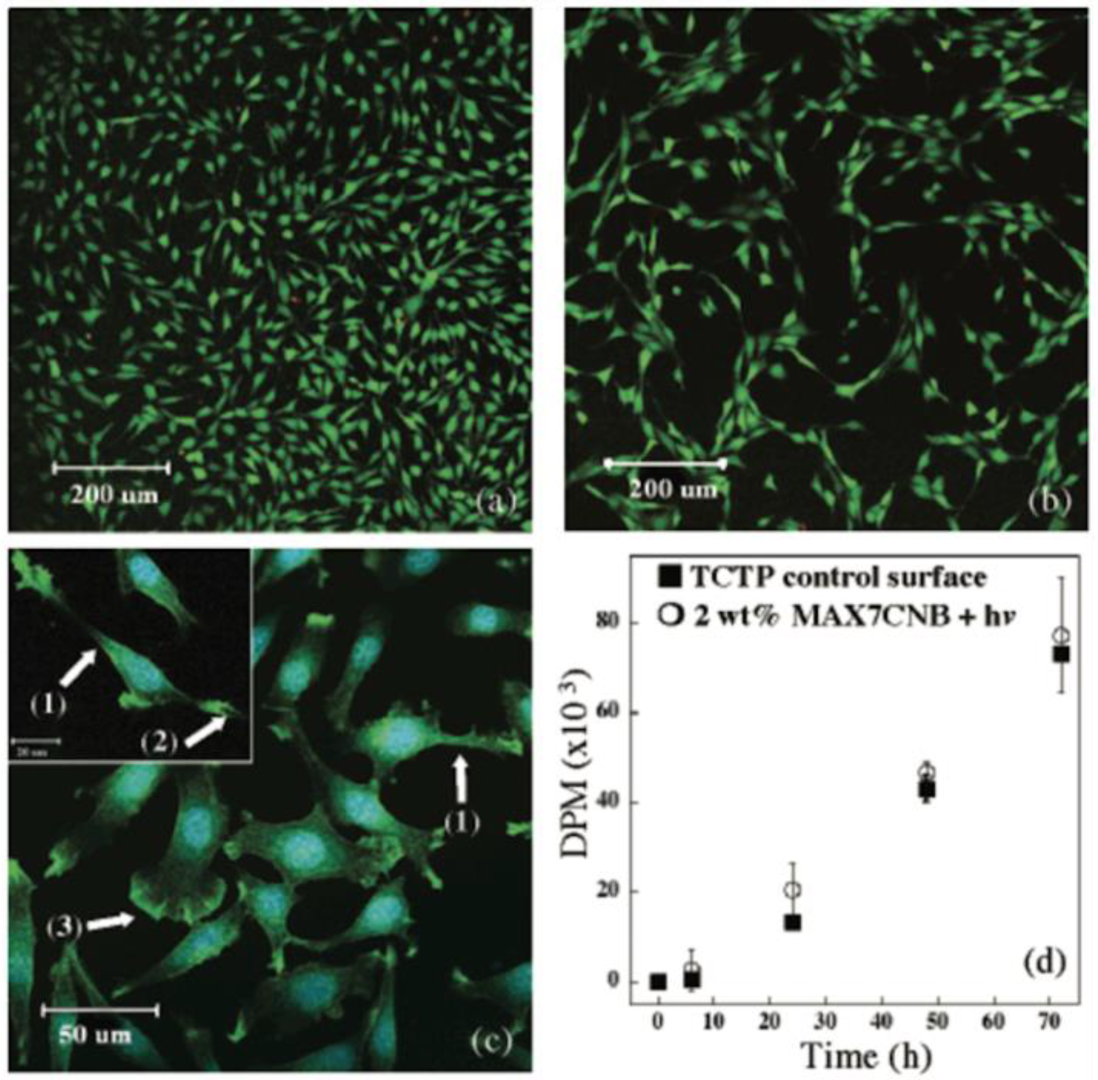 Ijms 21 07577 g006 Ijms 21 07577 g006