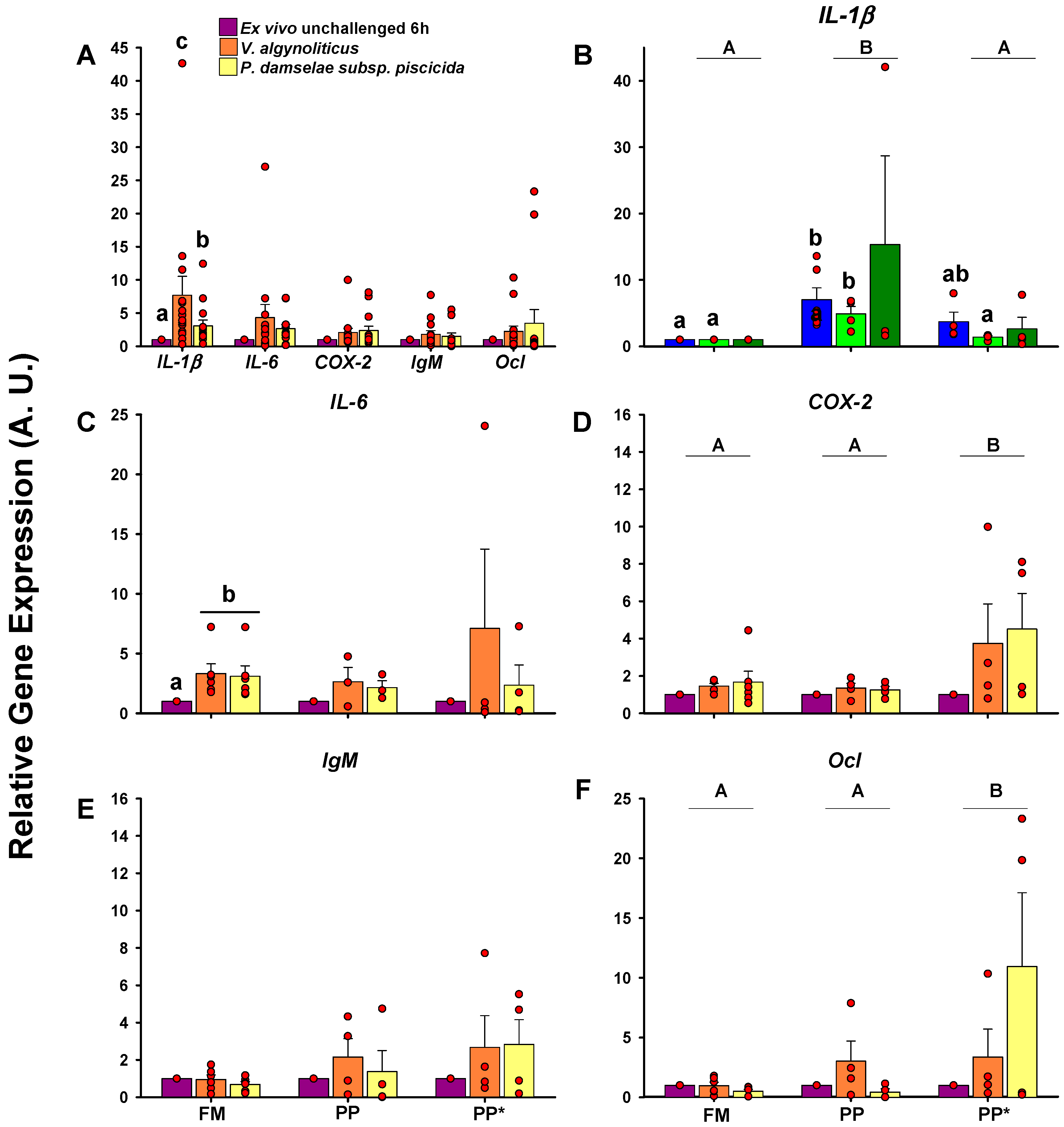 Ijms 21 07584 g005 Ijms 21 07584 g005