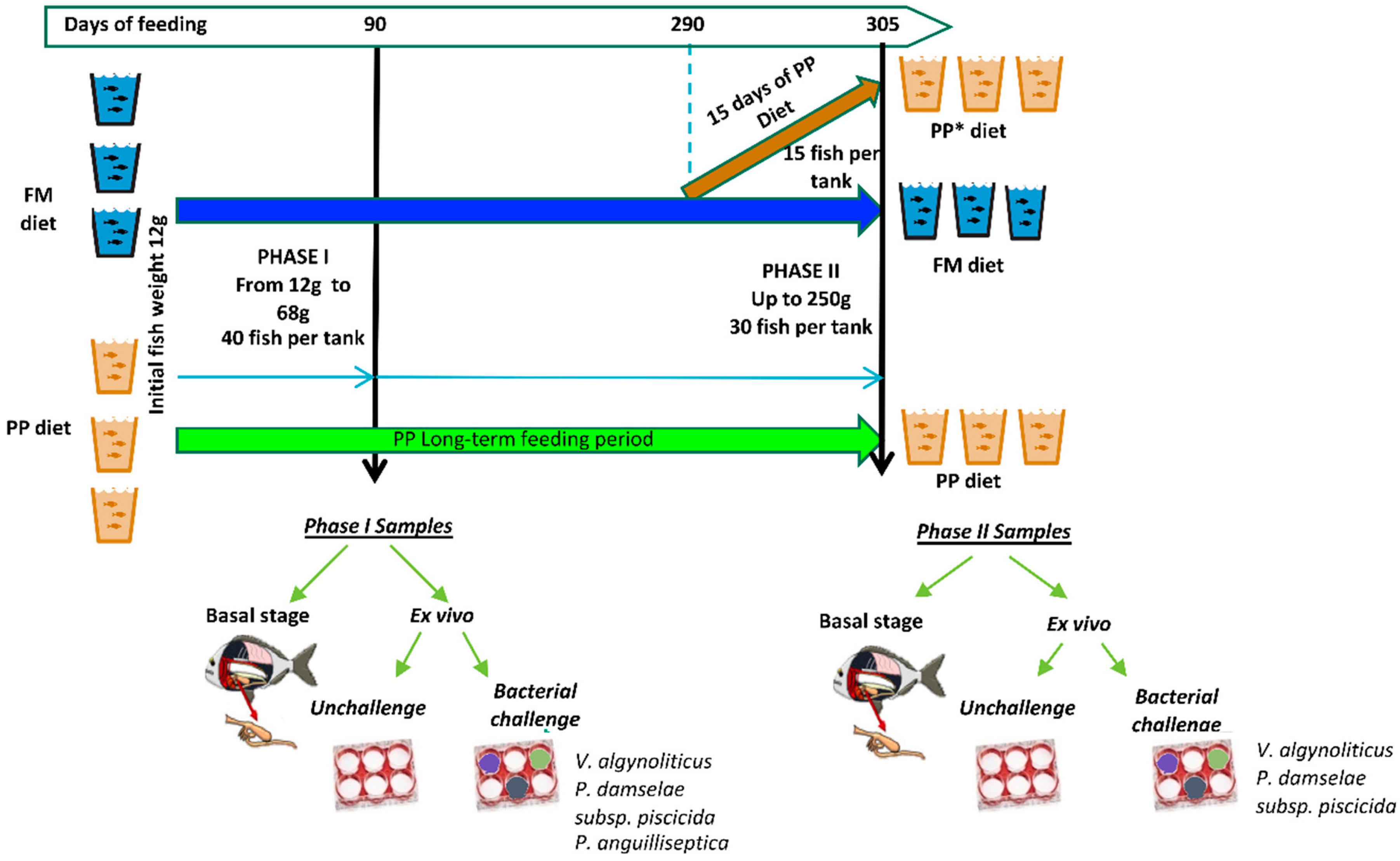 Ijms 21 07584 g007 Ijms 21 07584 g007