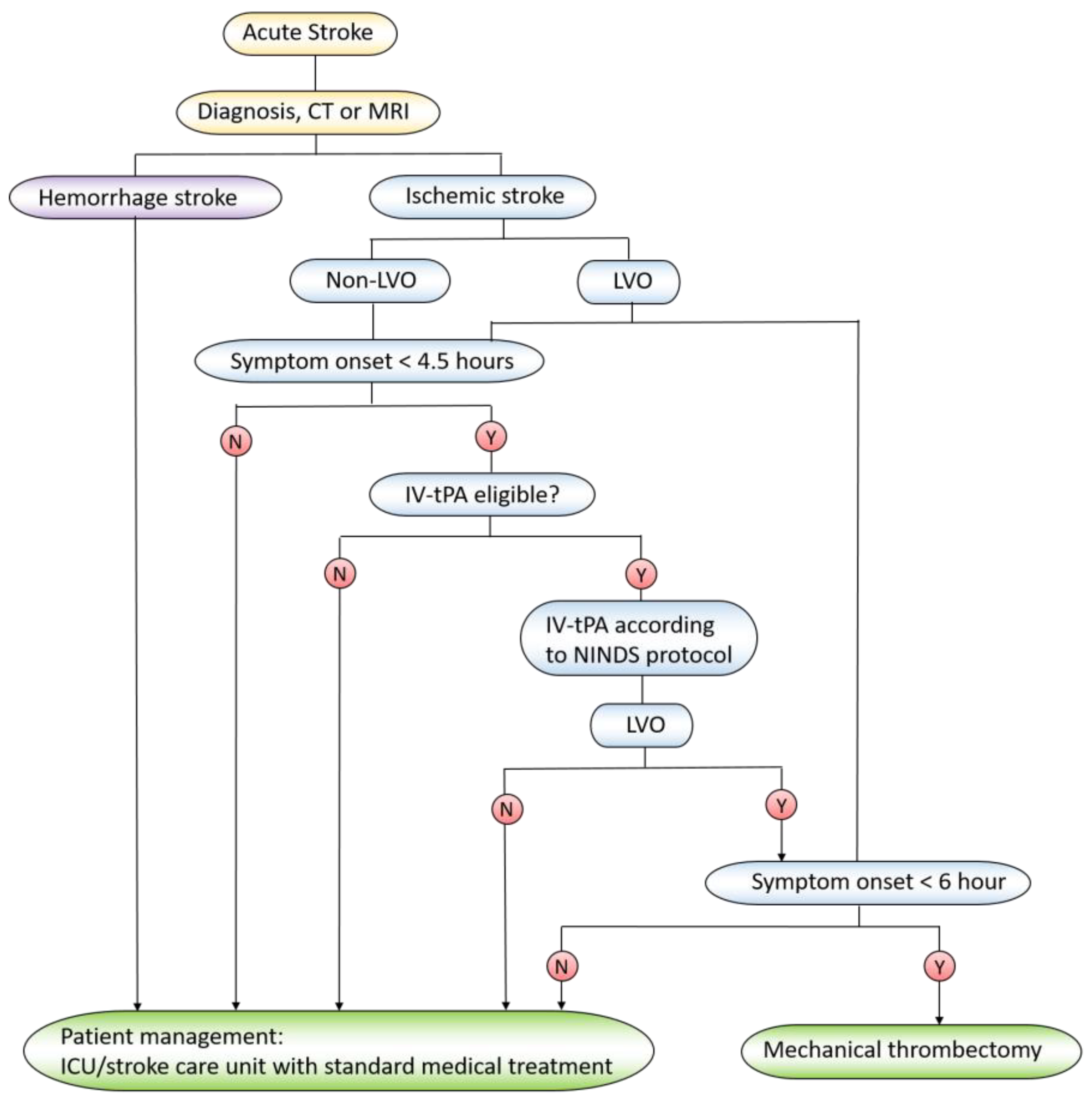 Ijms 21 07600 g002 Ijms 21 07600 g002