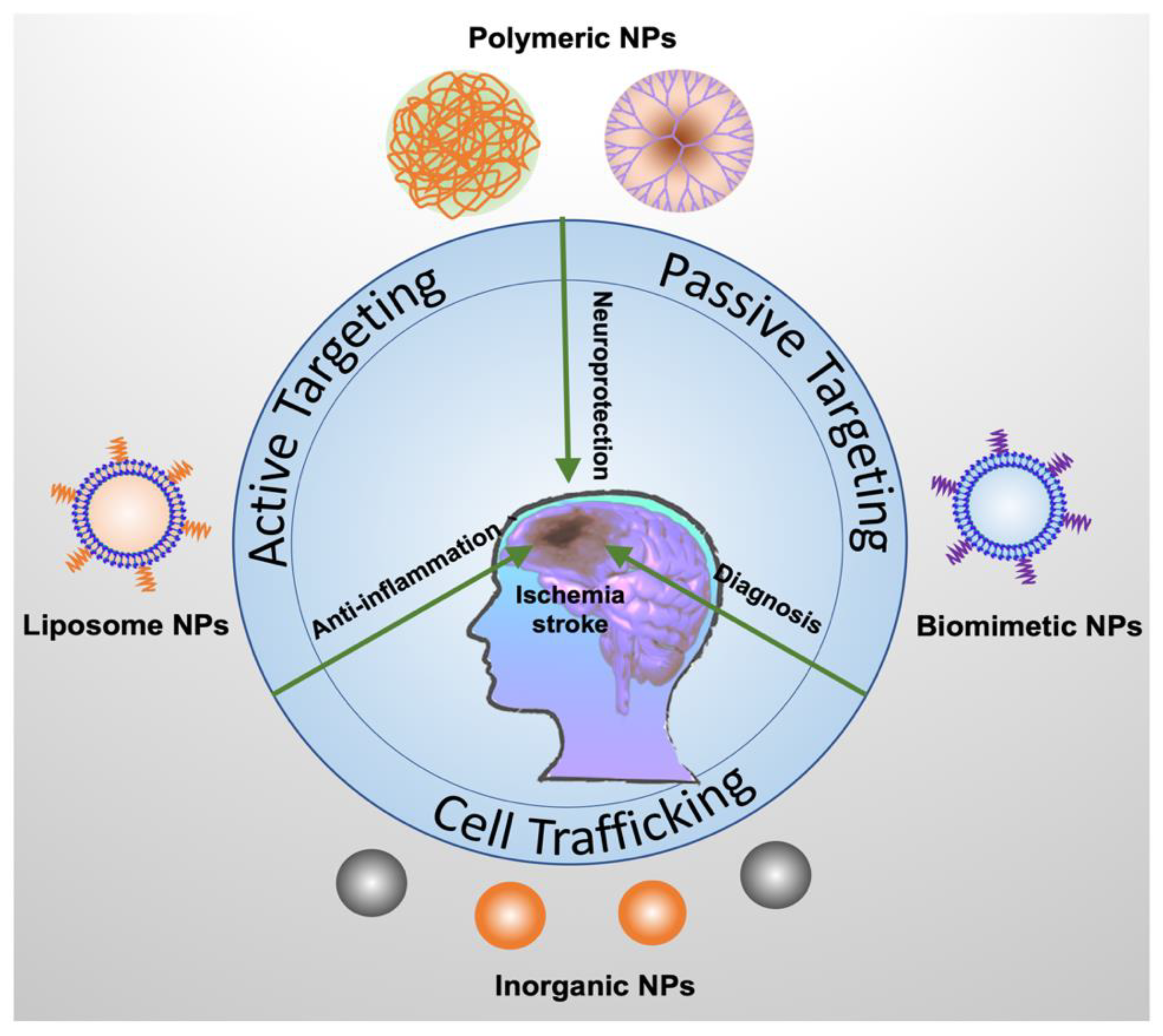 Ijms 21 07600 g003 Ijms 21 07600 g003