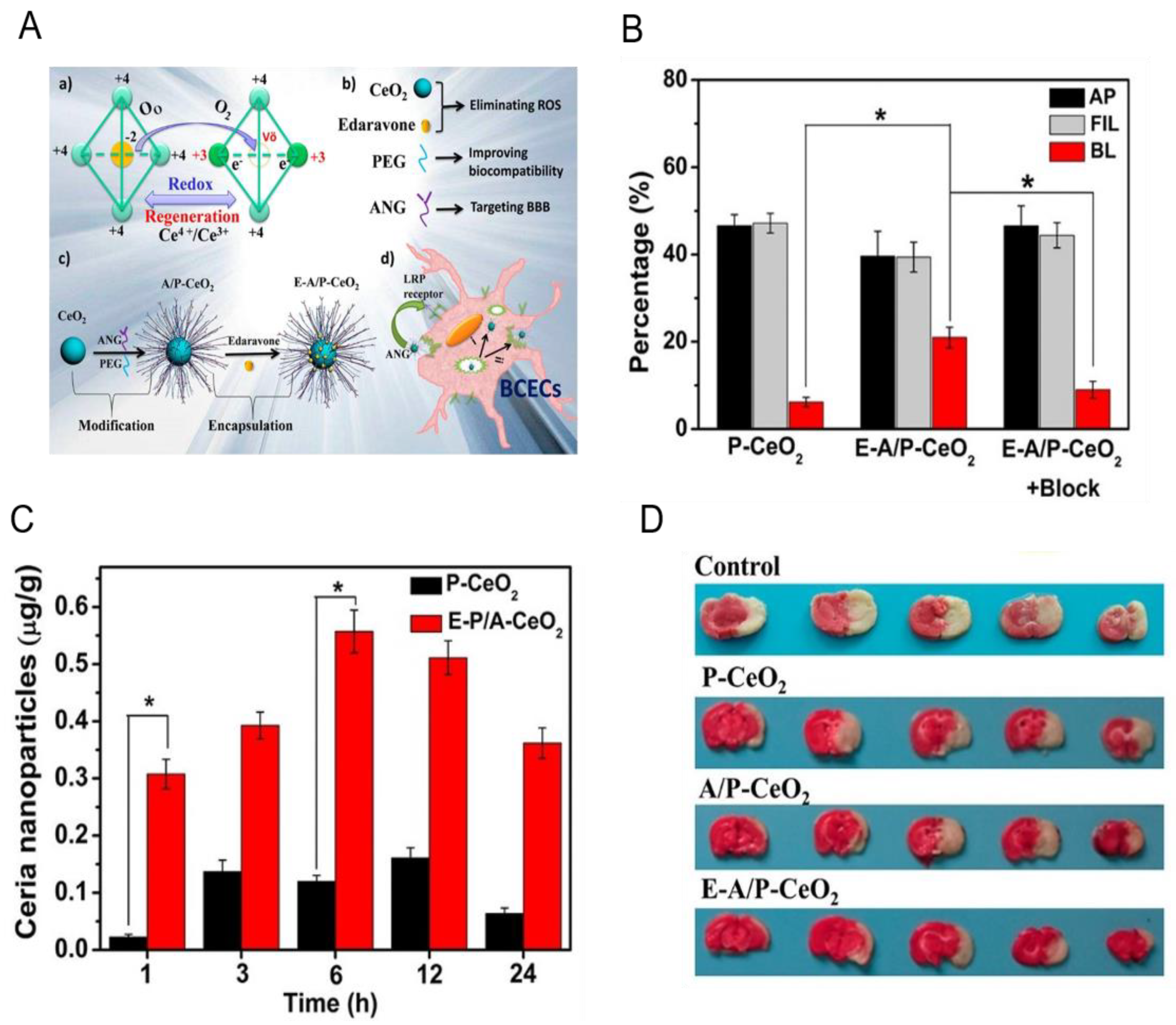 Ijms 21 07600 g004 Ijms 21 07600 g004