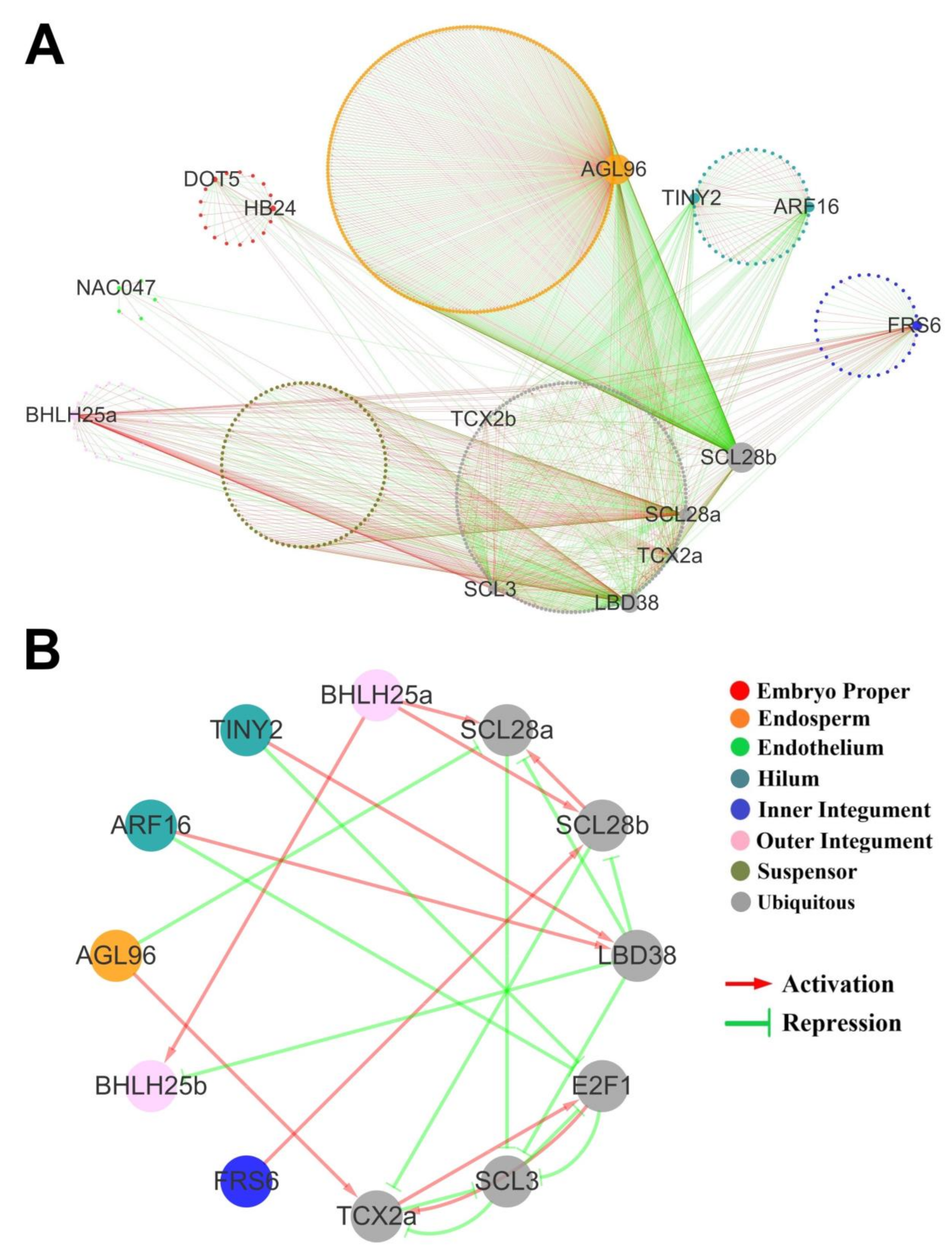 Ijms 21 07603 g007 Ijms 21 07603 g007