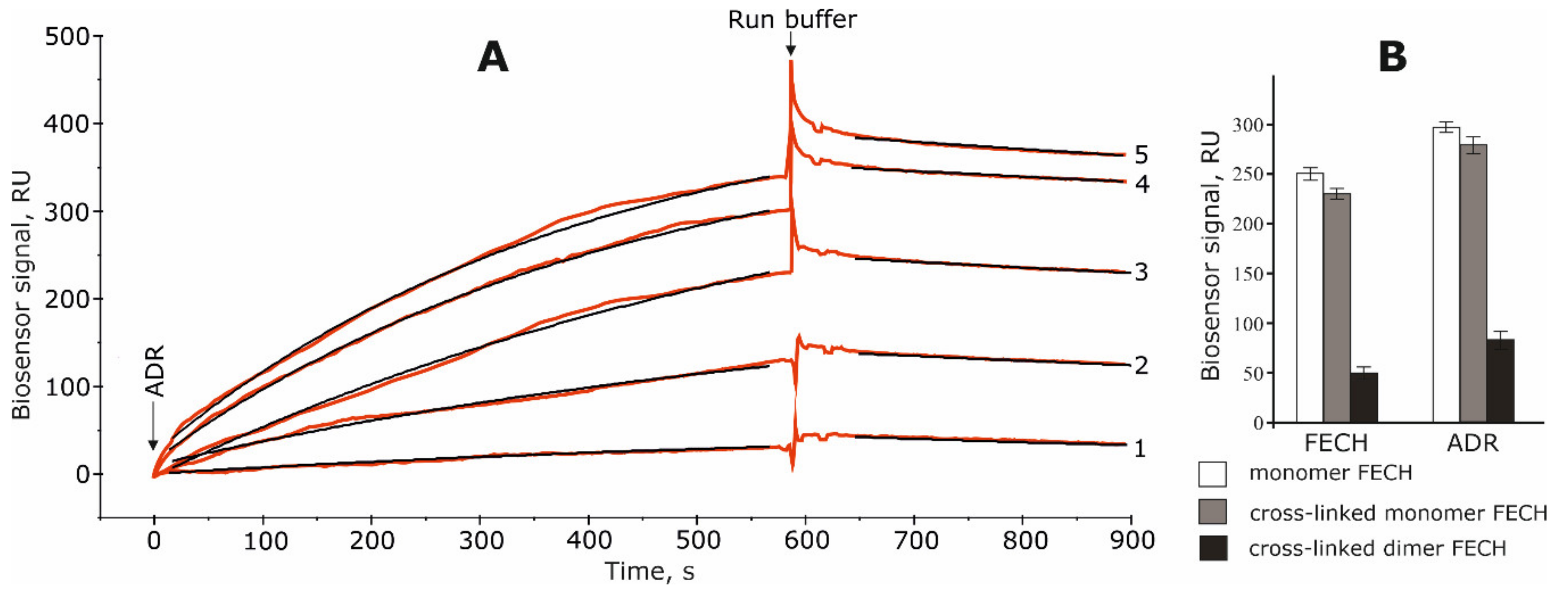 Ijms 21 07605 g001 Ijms 21 07605 g001