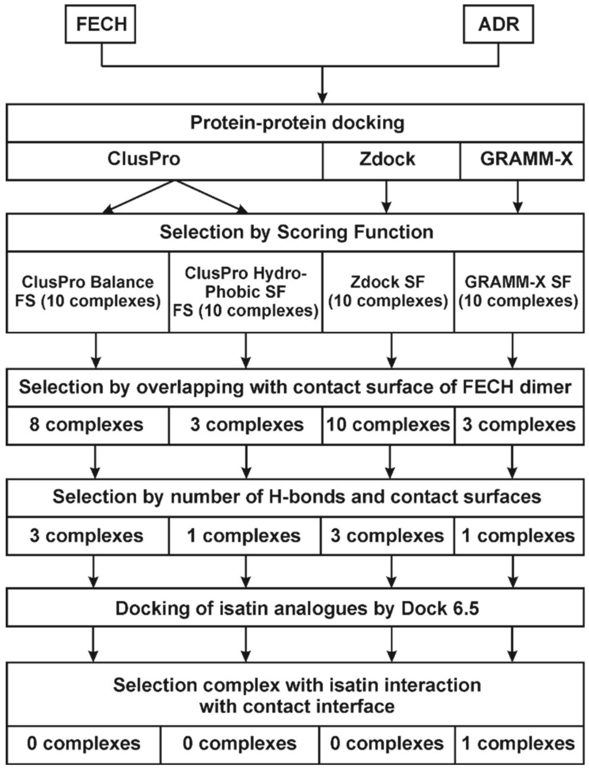 Ijms 21 07605 g004 Ijms 21 07605 g004