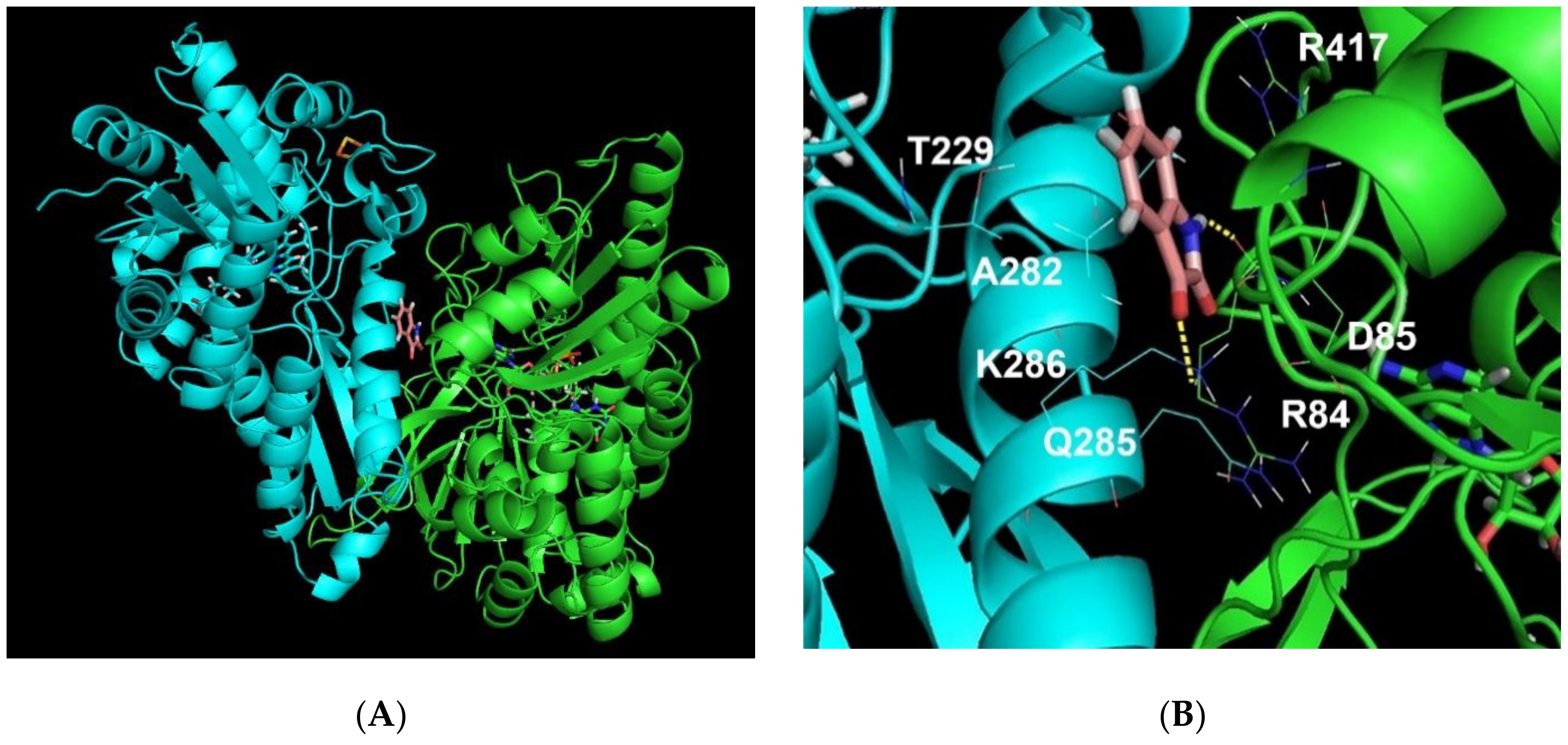 Ijms 21 07605 g005 Ijms 21 07605 g005