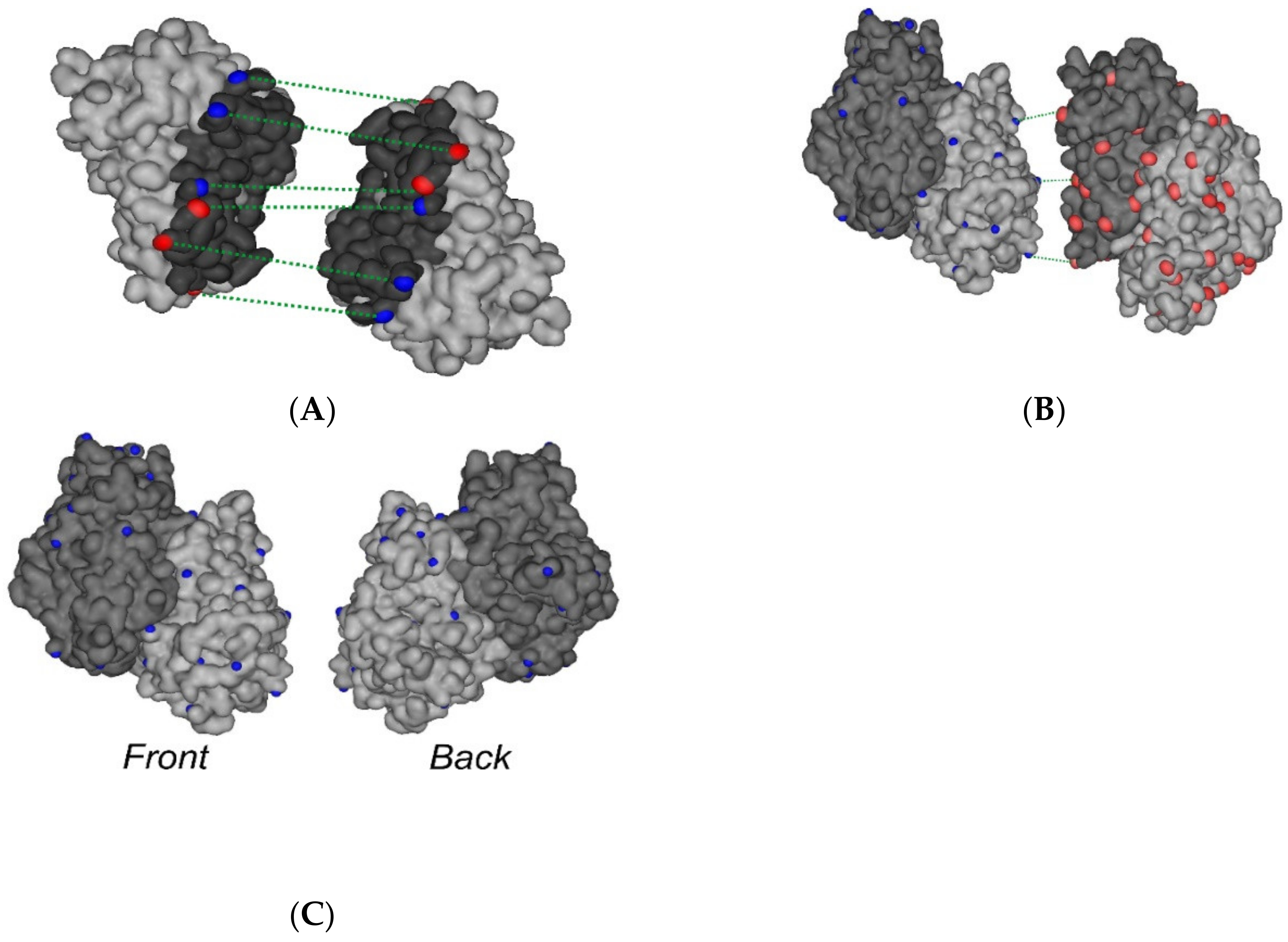 Ijms 21 07605 g006 Ijms 21 07605 g006