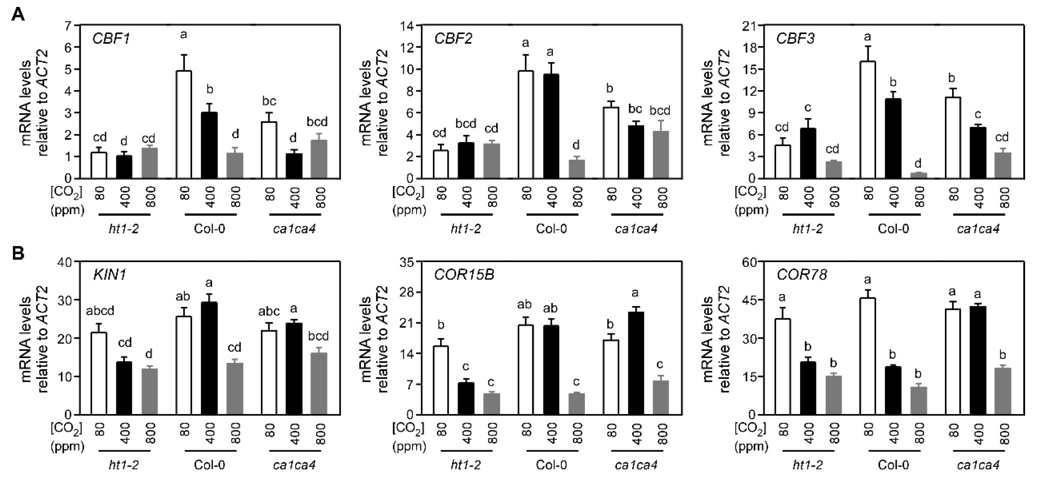 Ijms 21 07616 g003 Ijms 21 07616 g003